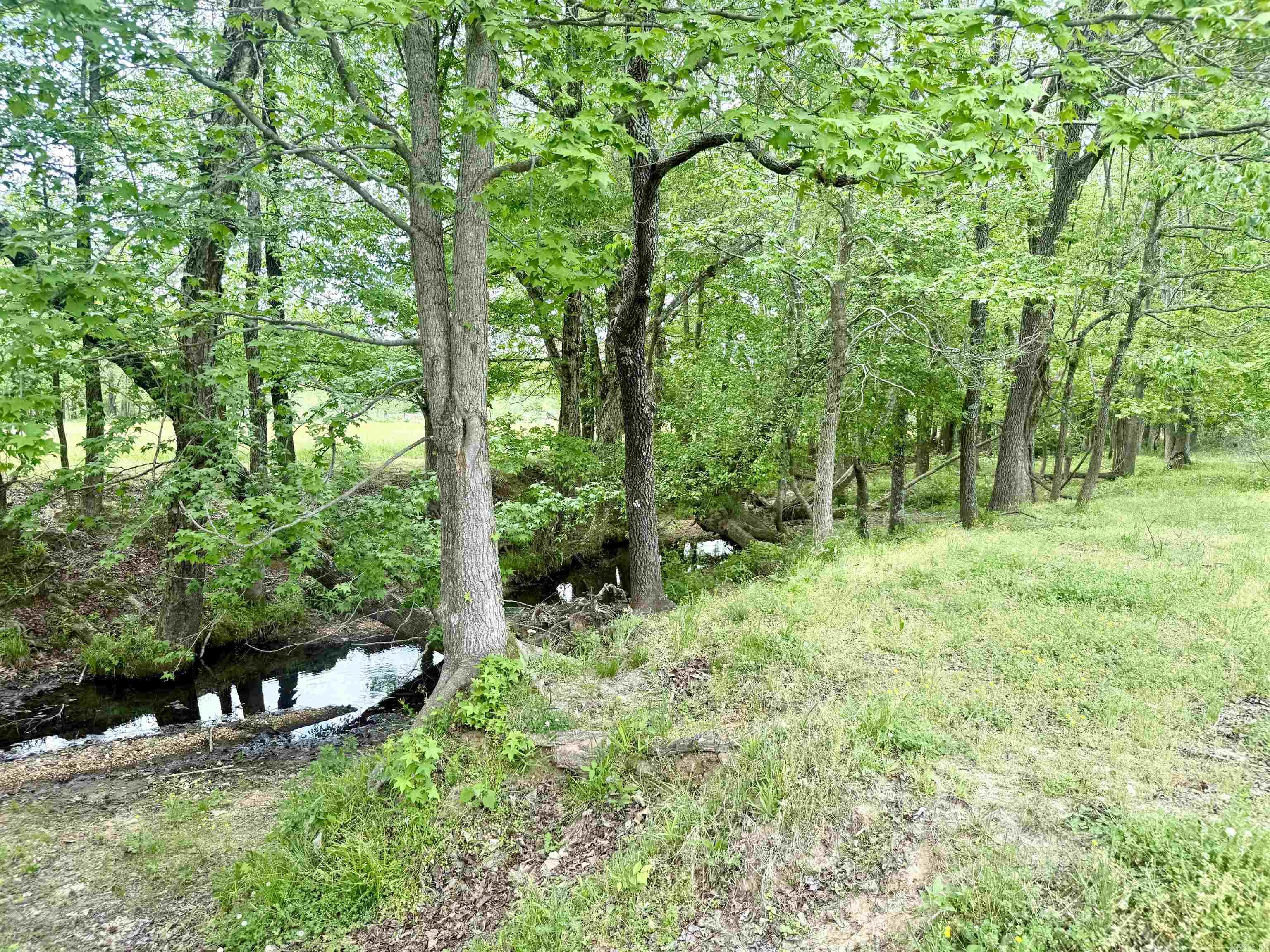 73.22 Acres Greene 620 Road Property Photo 17