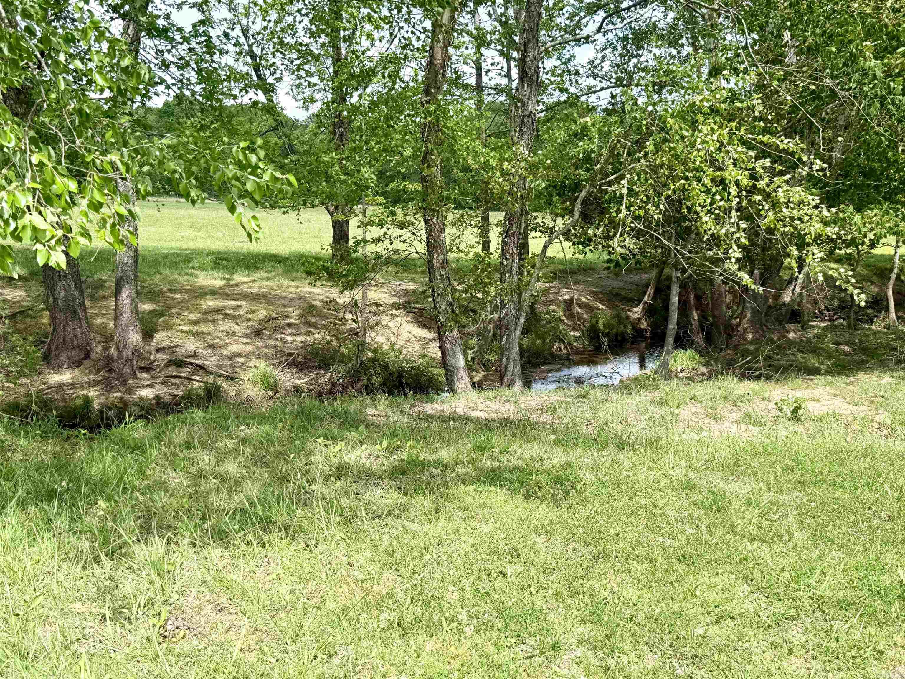 73.22 Acres Greene 620 Road Property Photo 18