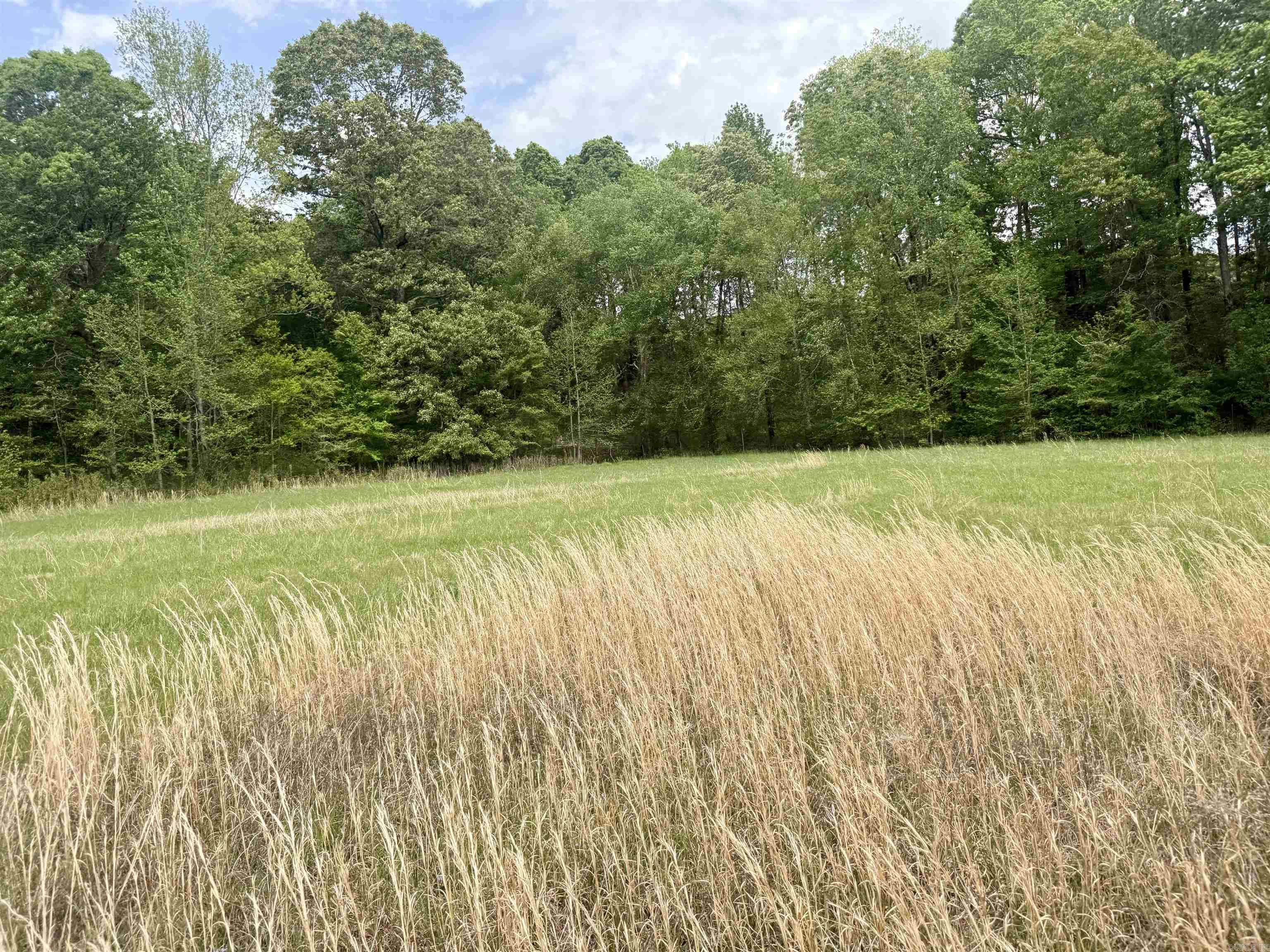 73.22 Acres Greene 620 Road Property Photo 19