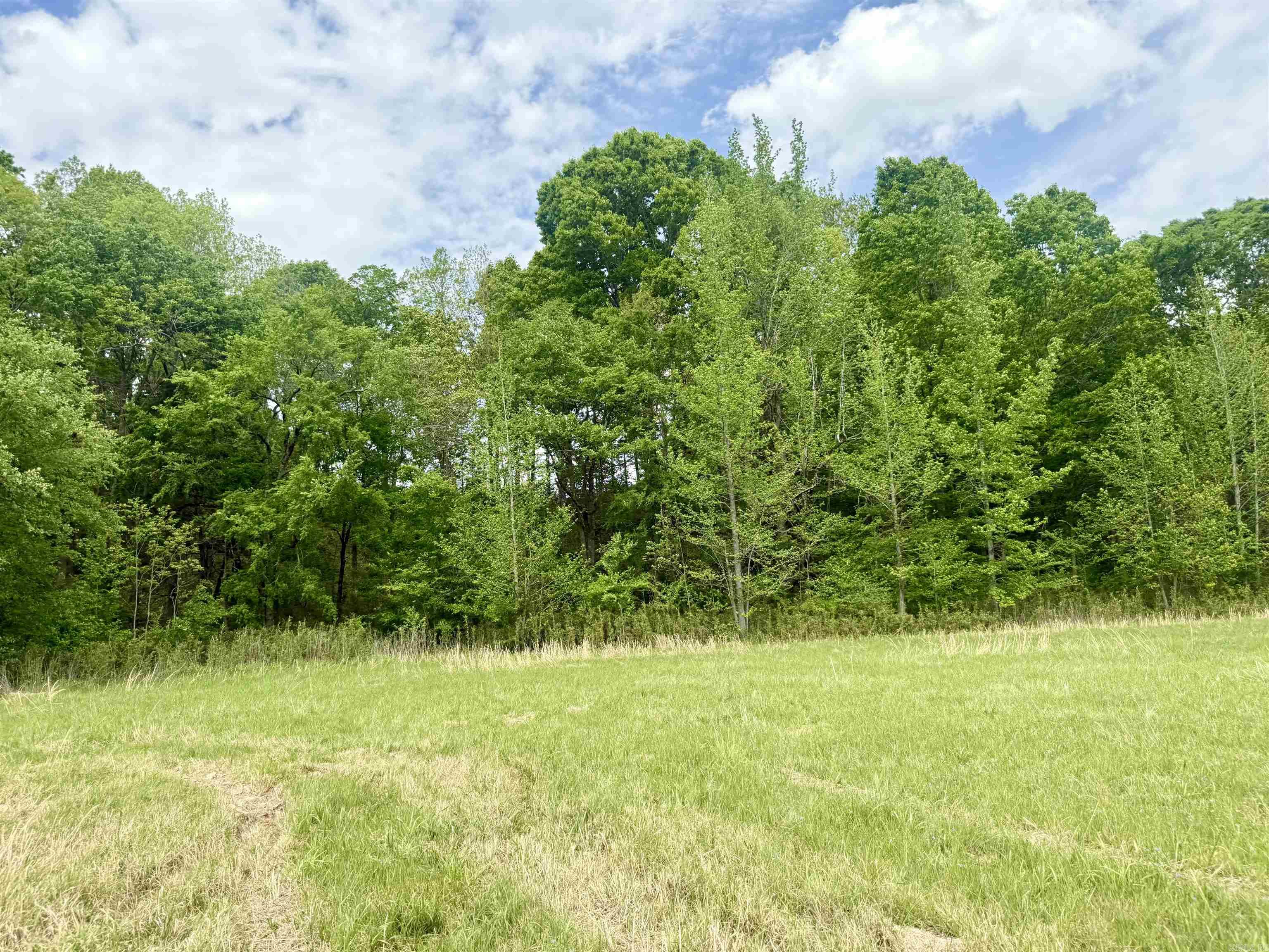 73.22 Acres Greene 620 Road Property Photo 20