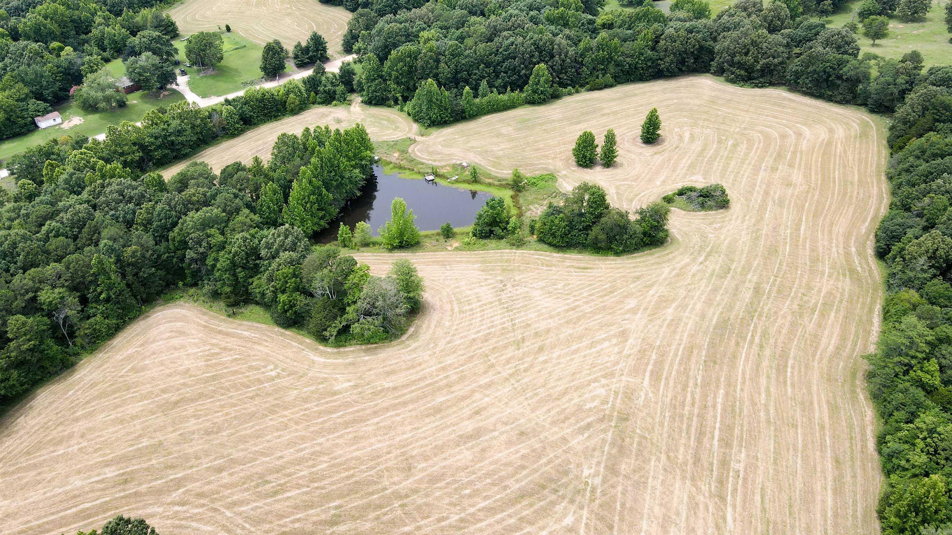 73.22 Acres Greene 620 Road Property Photo 21