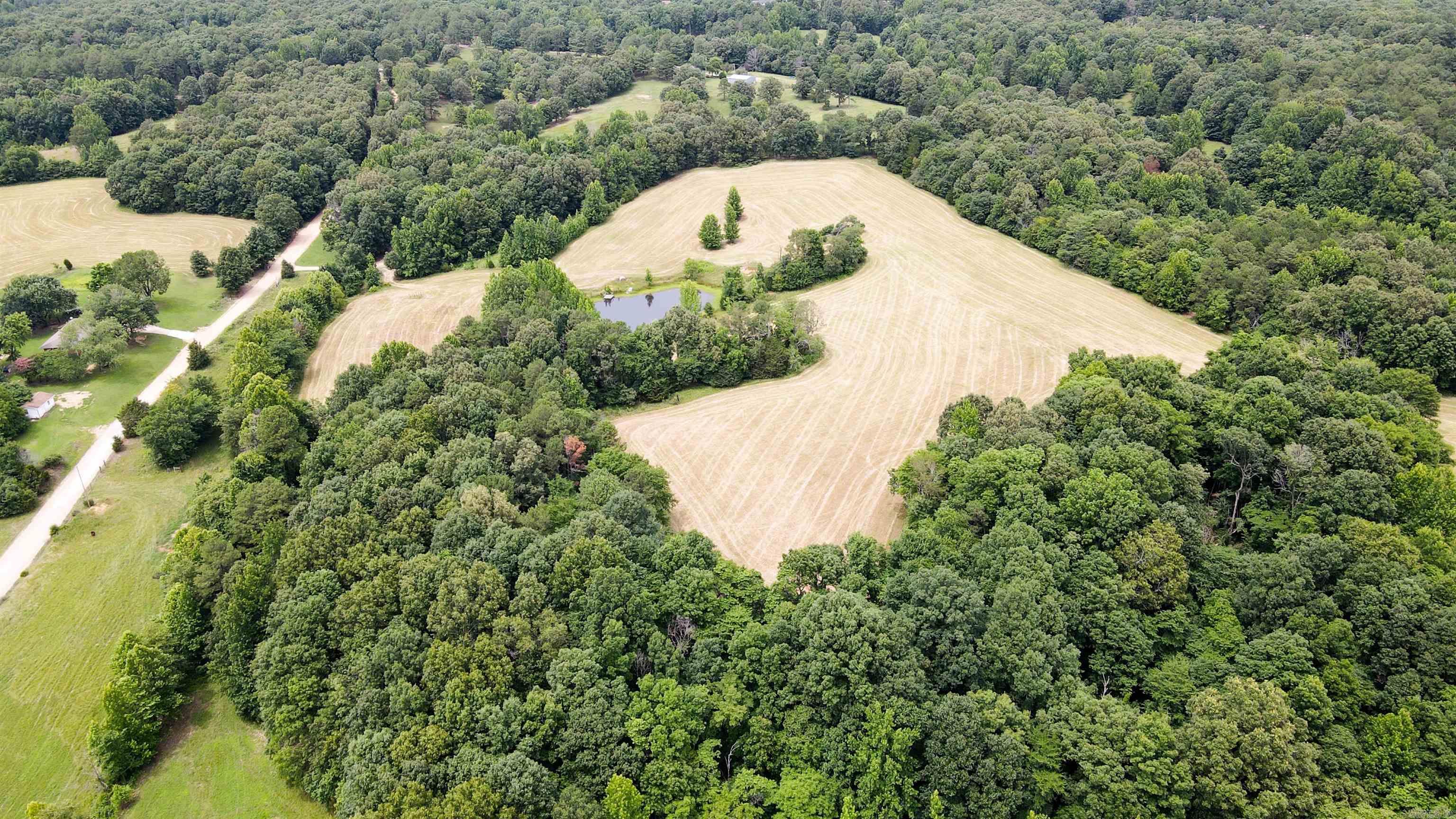 73.22 Acres Greene 620 Road Property Photo 22