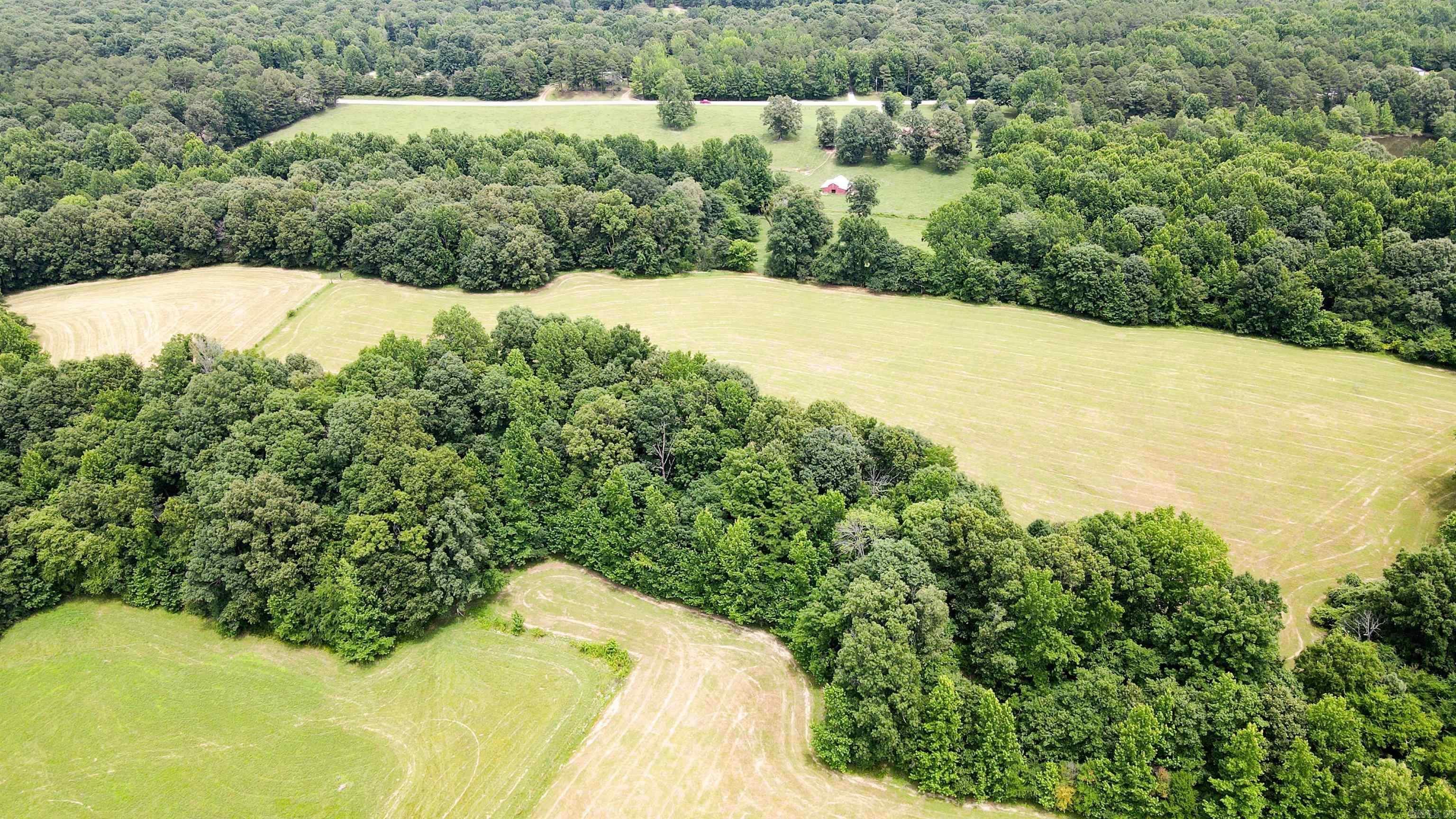 73.22 Acres Greene 620 Road Property Photo 23