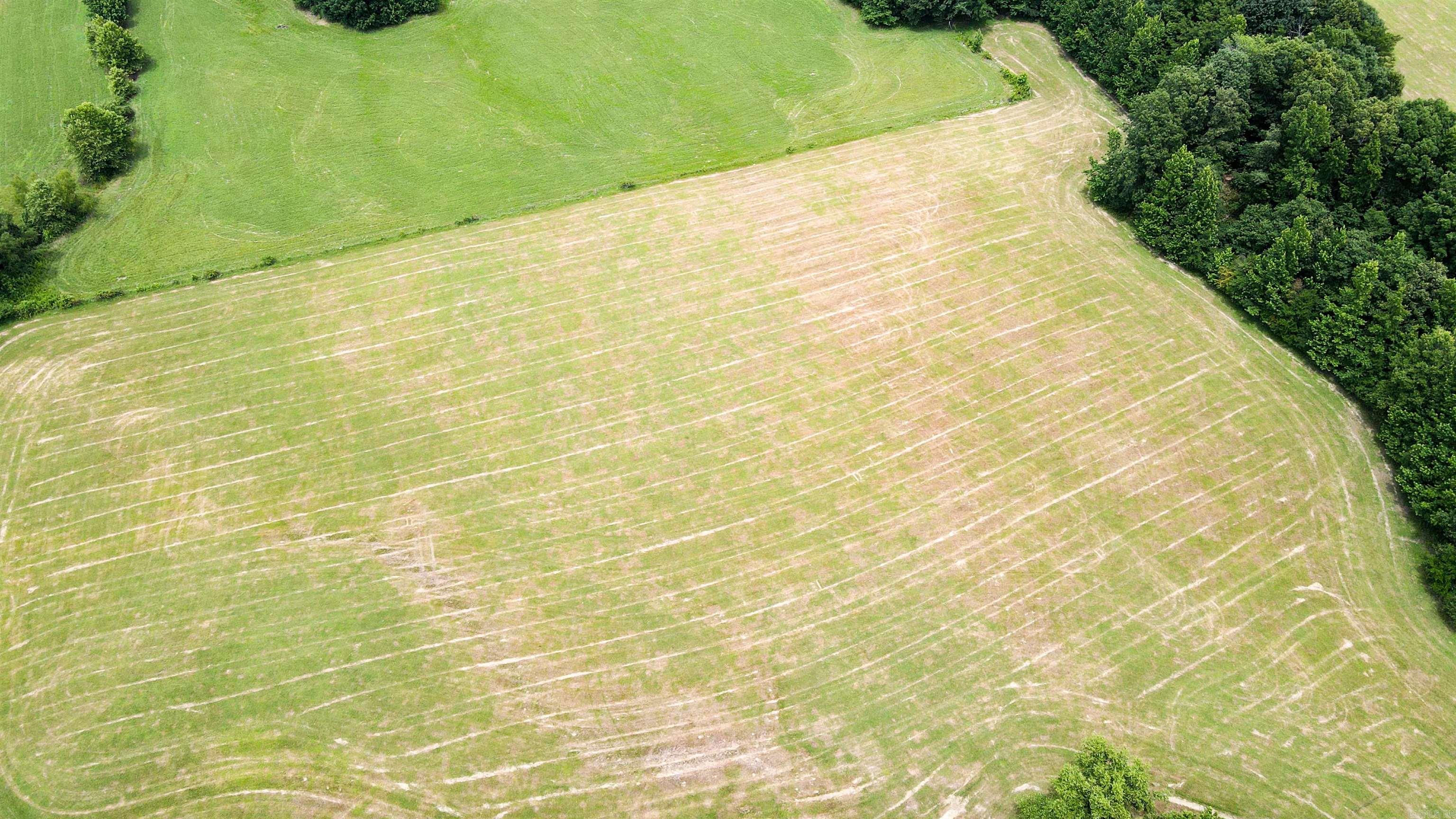 73.22 Acres Greene 620 Road Property Photo 24