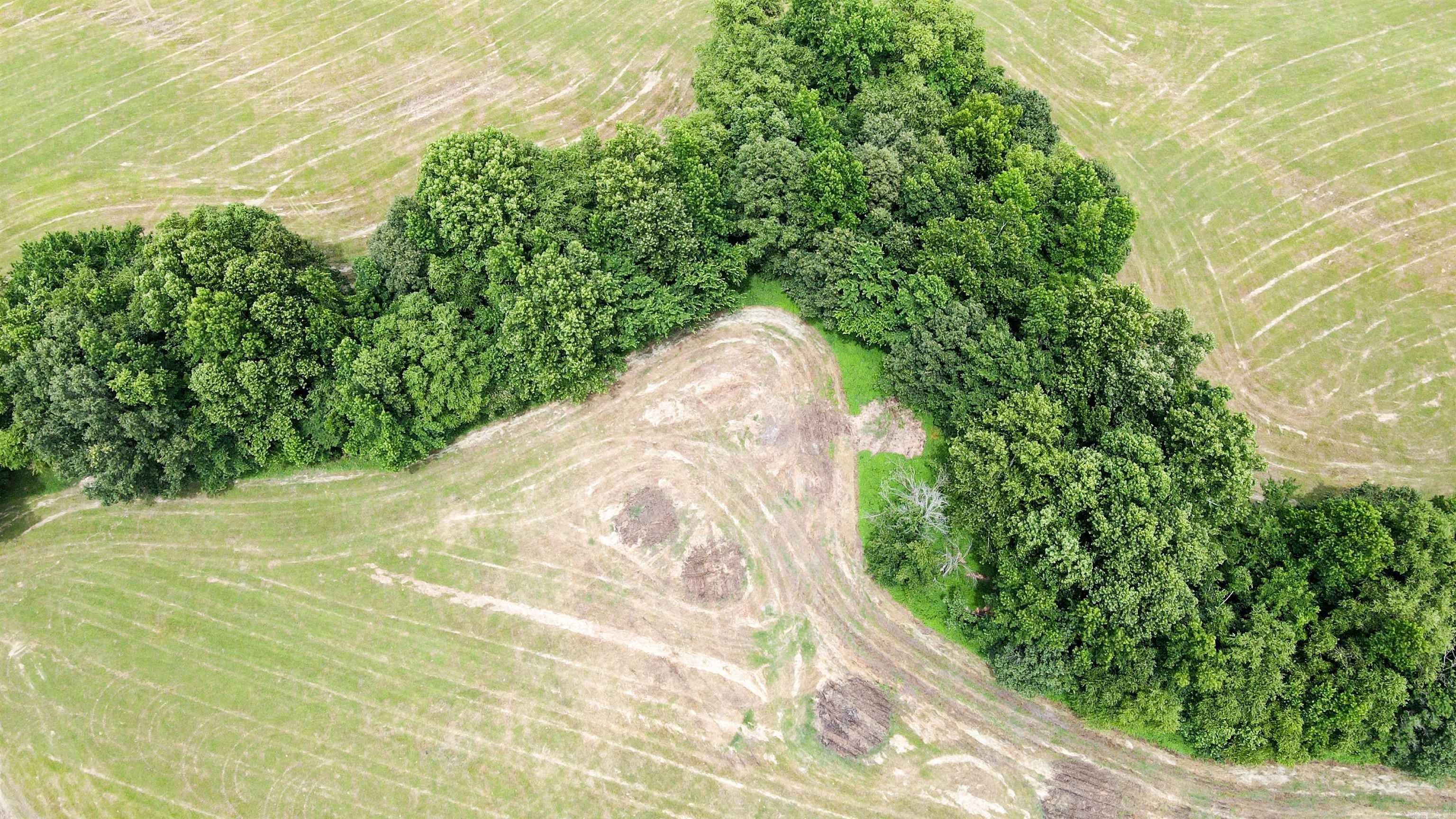 73.22 Acres Greene 620 Road Property Photo 25