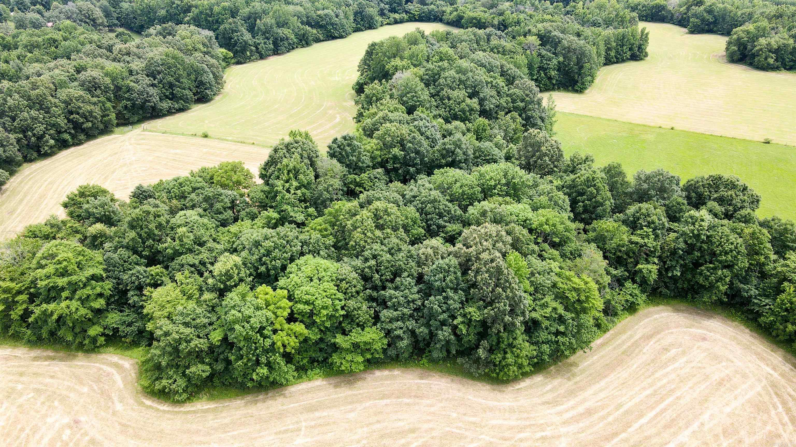 73.22 Acres Greene 620 Road Property Photo 28