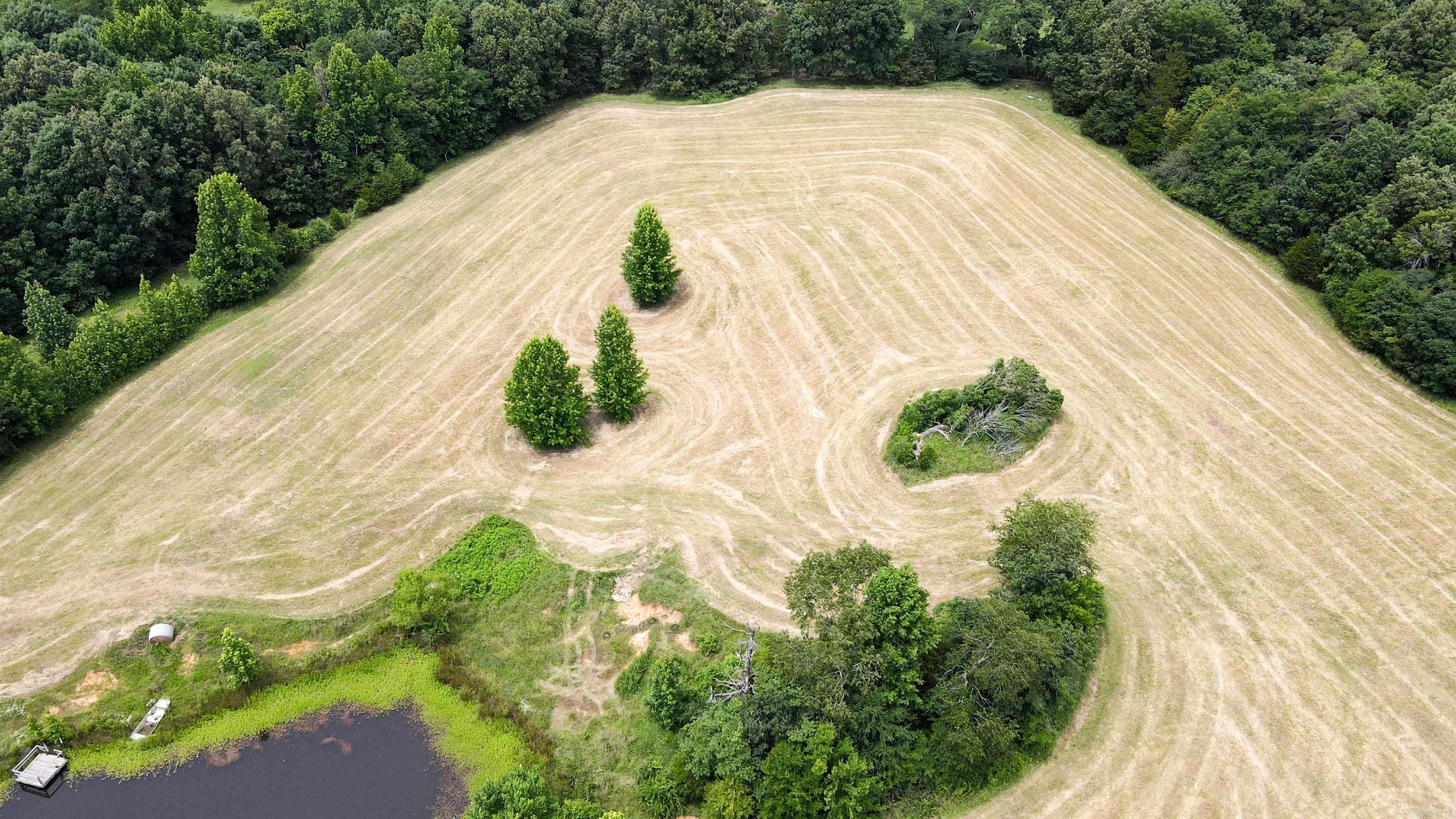 73.22 Acres Greene 620 Road Property Photo 29