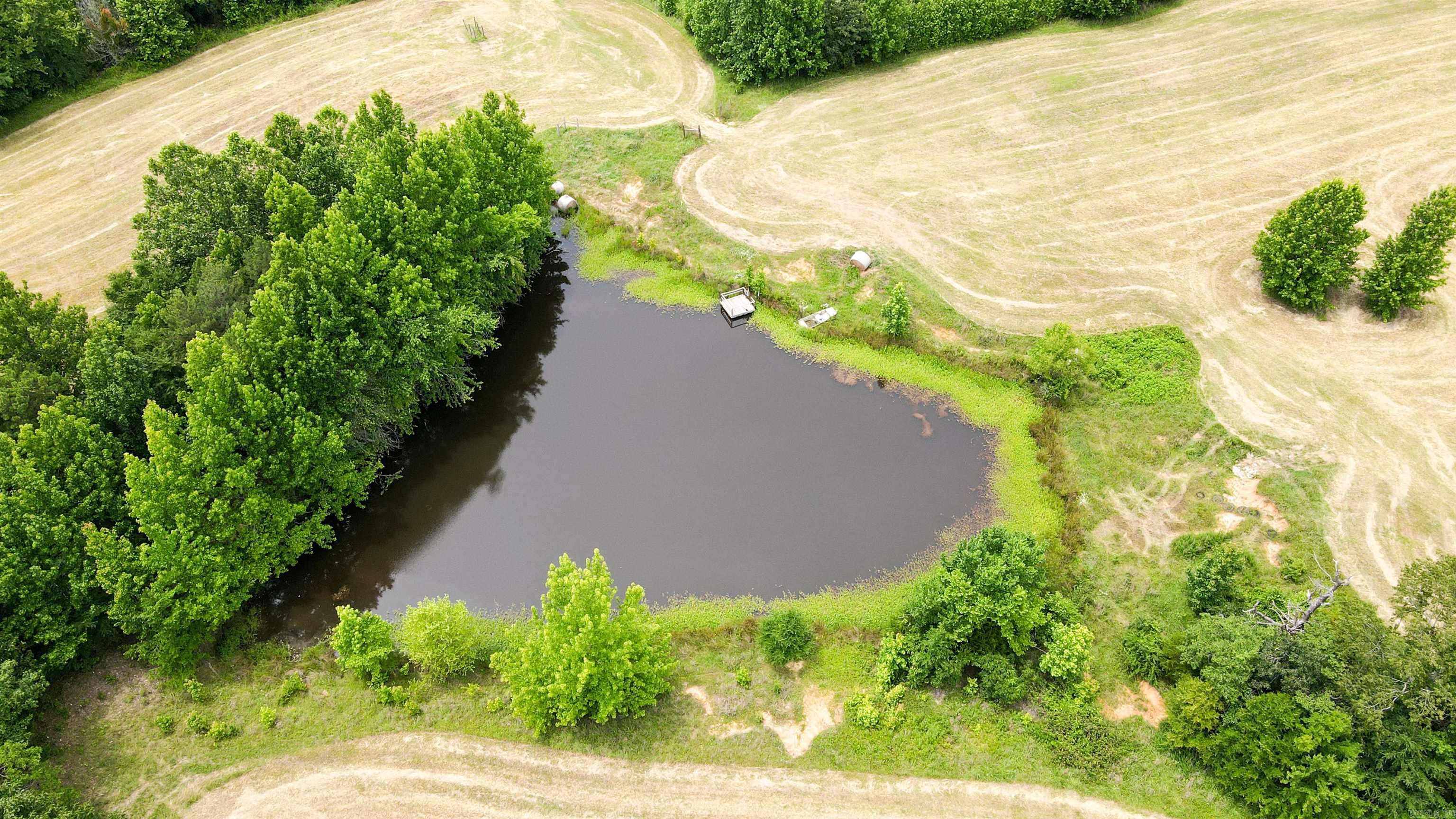 73.22 Acres Greene 620 Road Property Photo 30