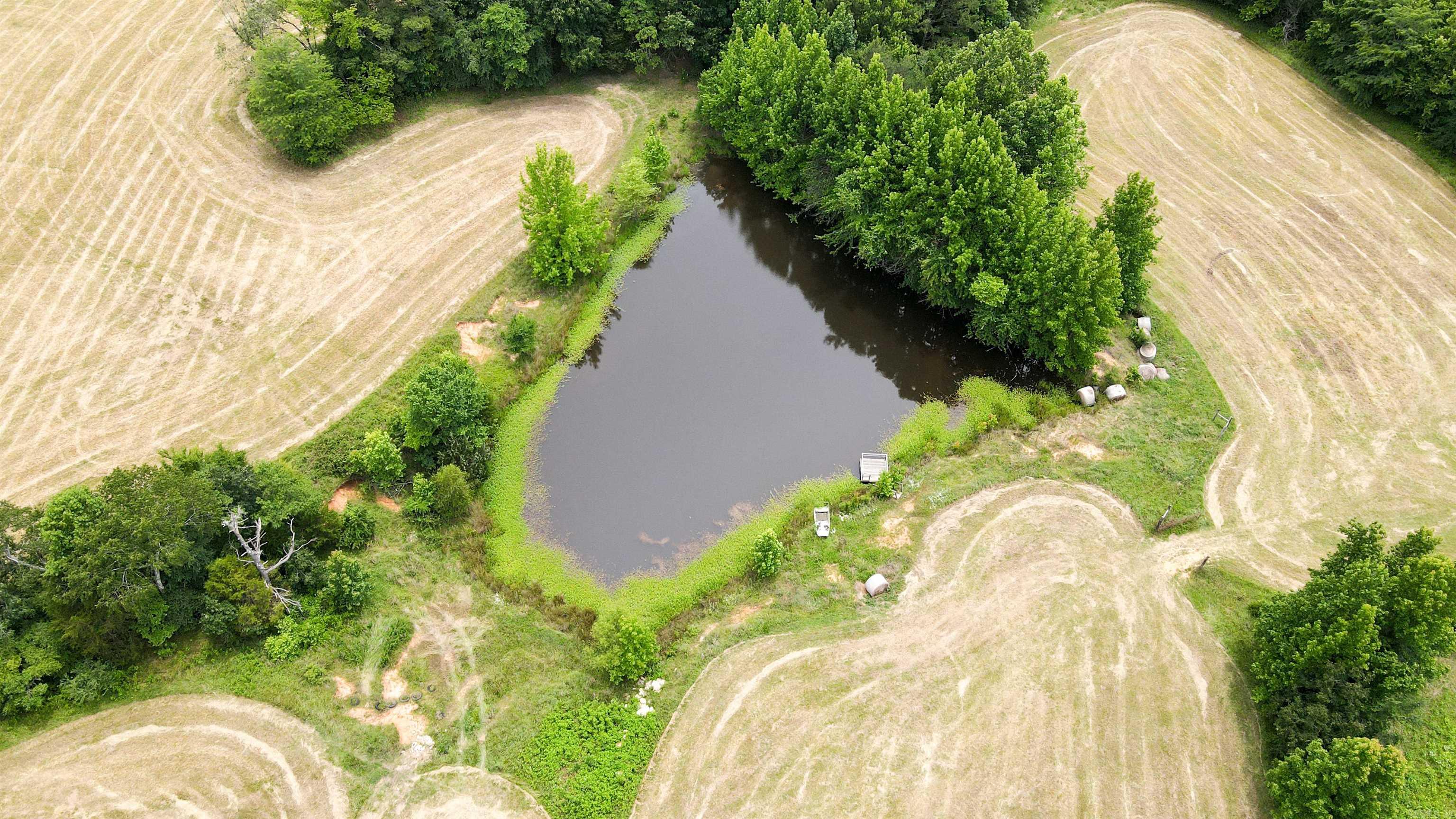 73.22 Acres Greene 620 Road Property Photo 31