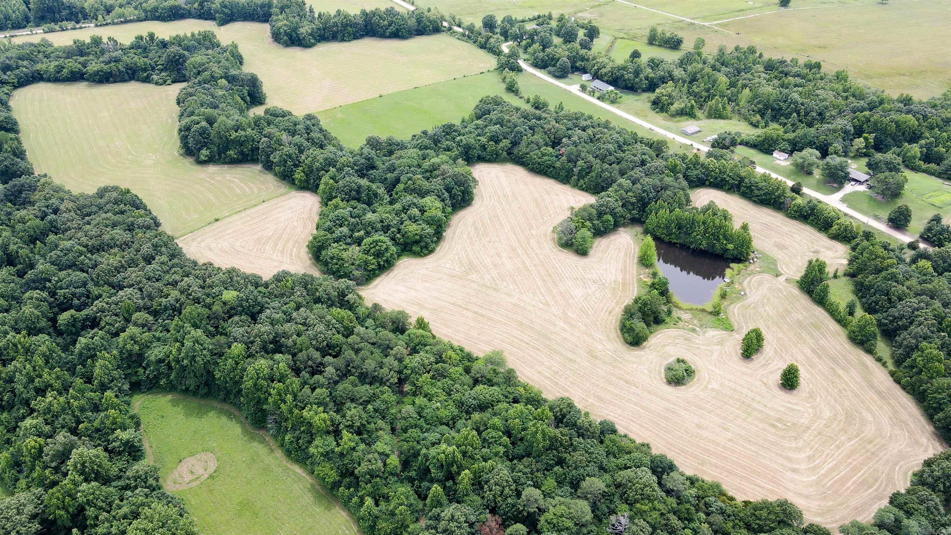 73.22 Acres Greene 620 Road Property Photo 34