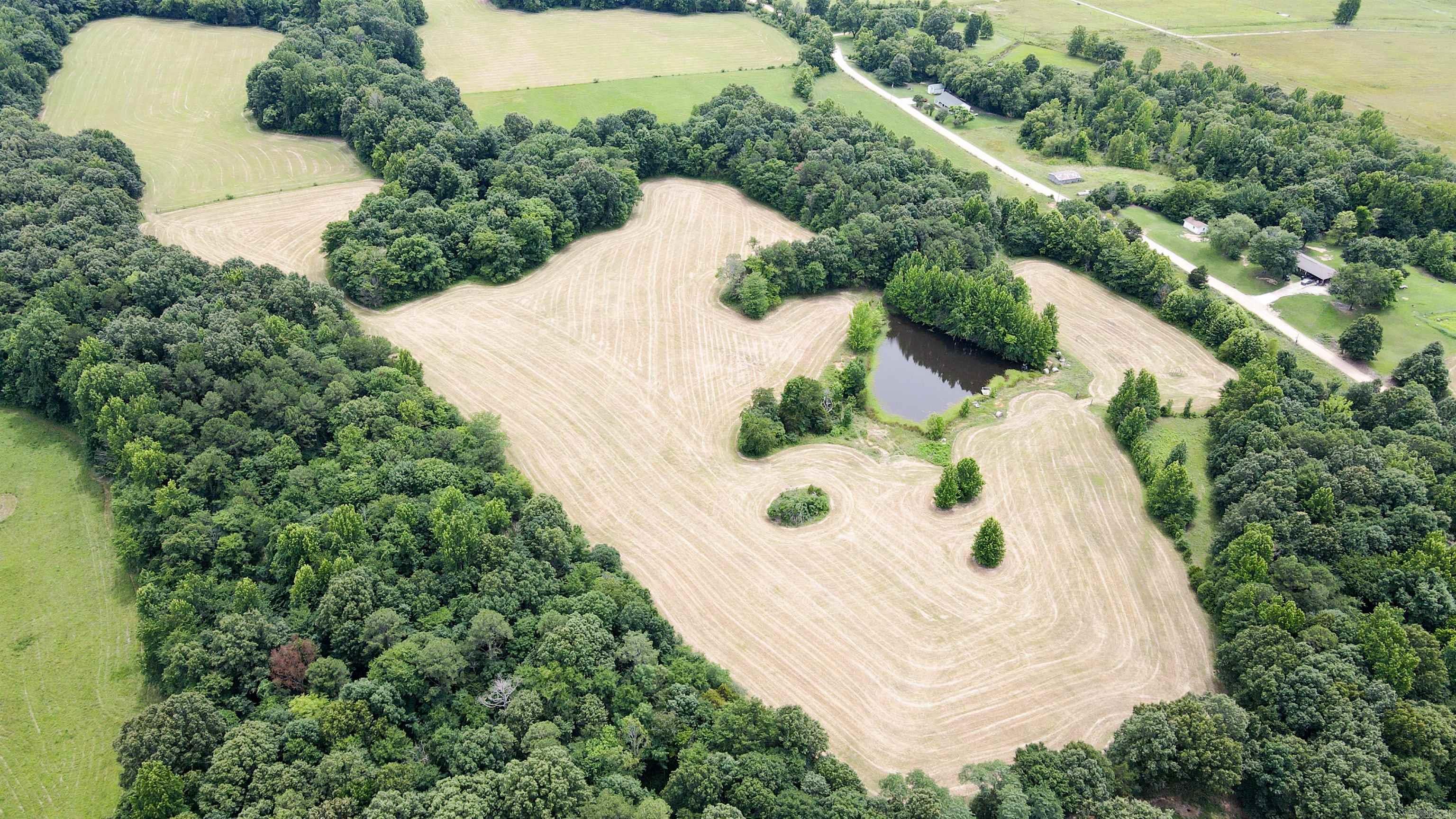 73.22 Acres Greene 620 Road Property Photo 35