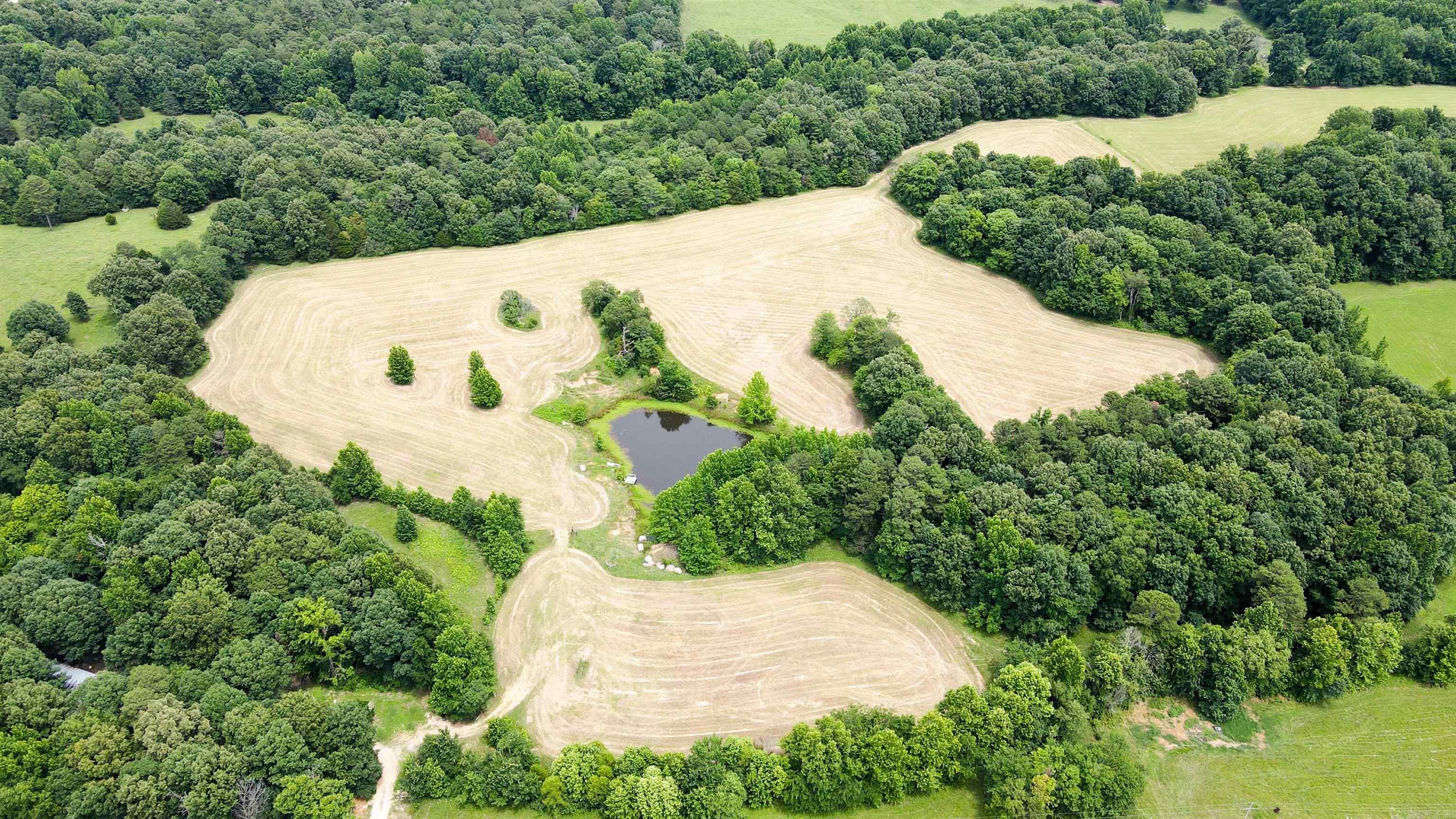 73.22 Acres Greene 620 Road Property Photo 37