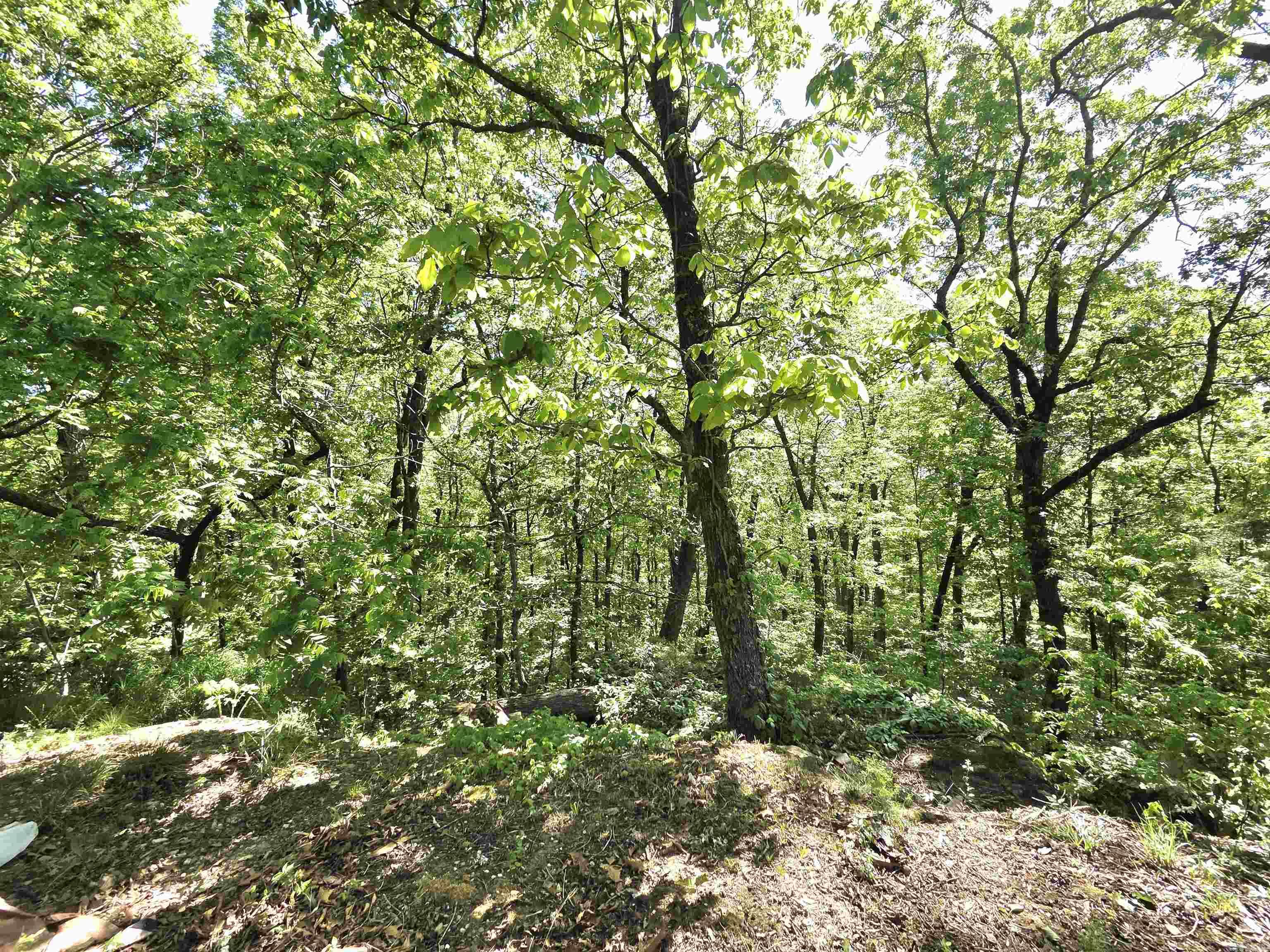 304 Black Bear Bluff Property Photo 31