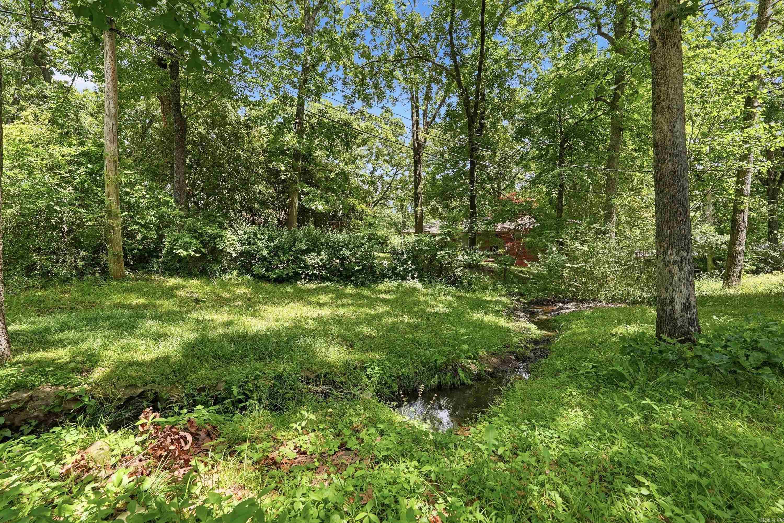 1611 Grove Hill Road Property Photo 37