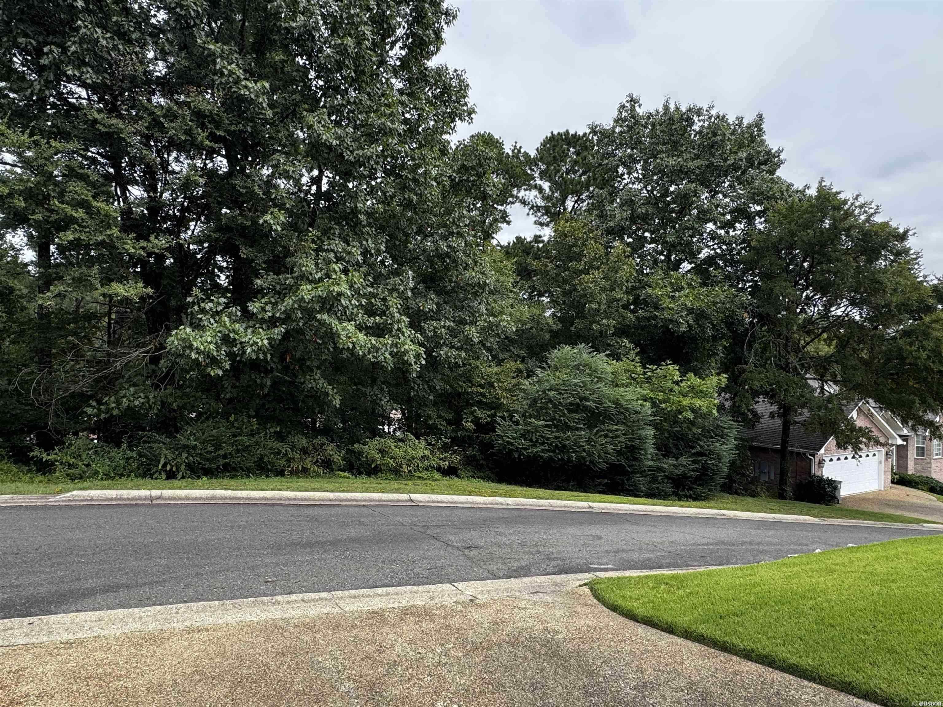 Lot 28 Forest View Circle Property Photo 1
