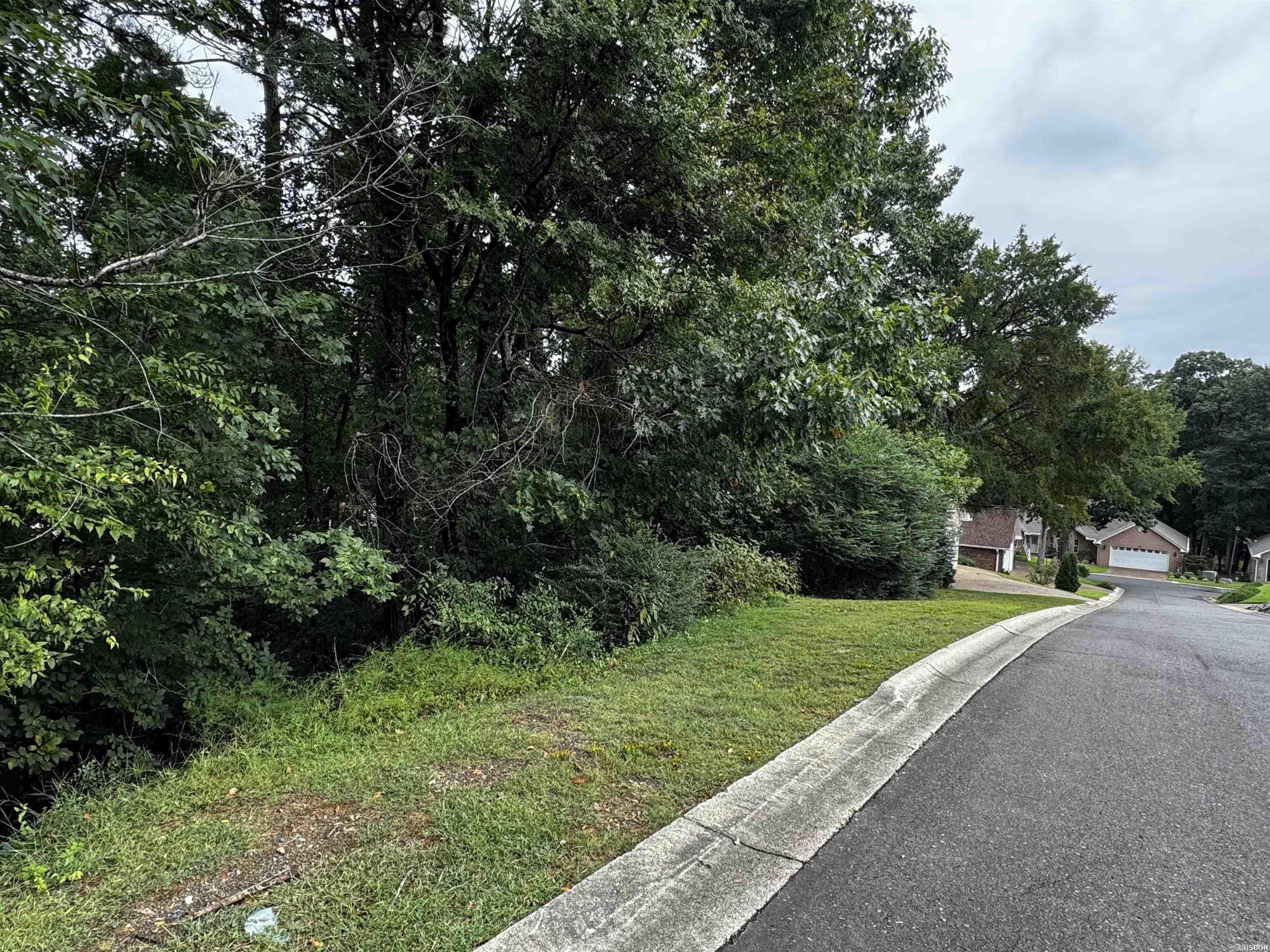 Lot 28 Forest View Circle Property Photo 2