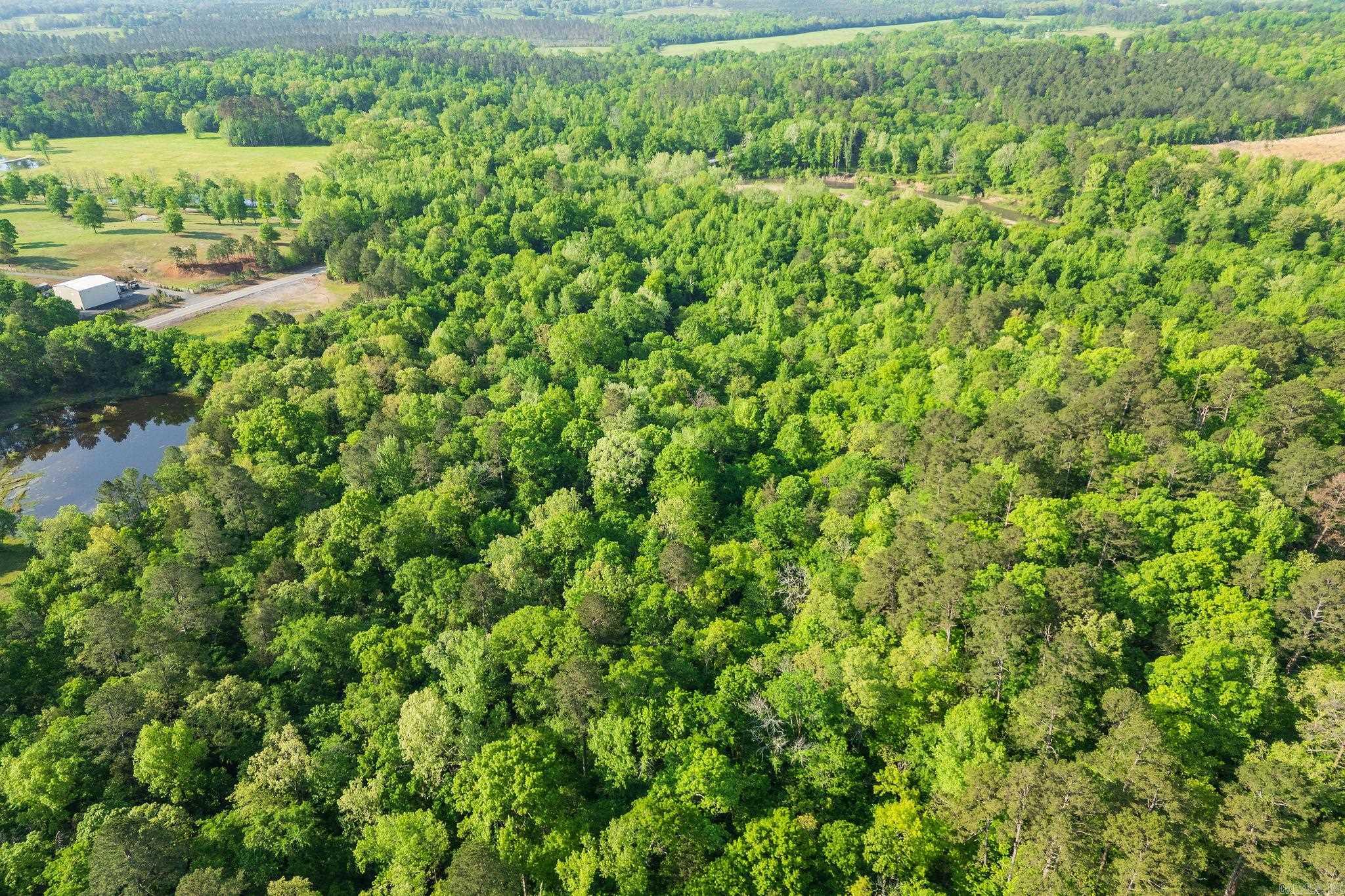 22.62 Acres Hwy 84 Property Photo 12