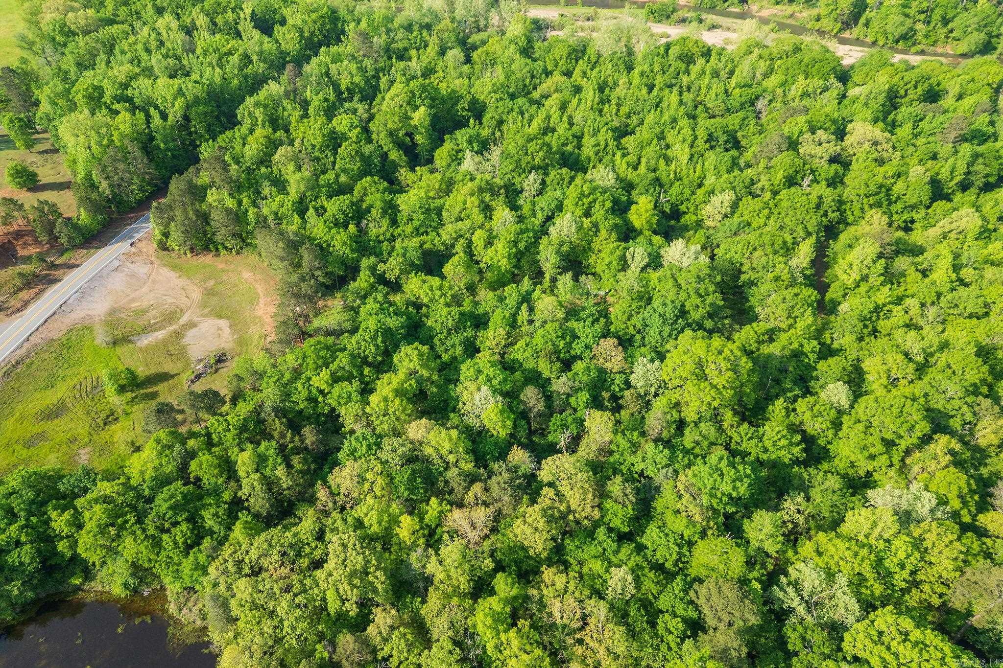 22.62 Acres Hwy 84 Property Photo 17