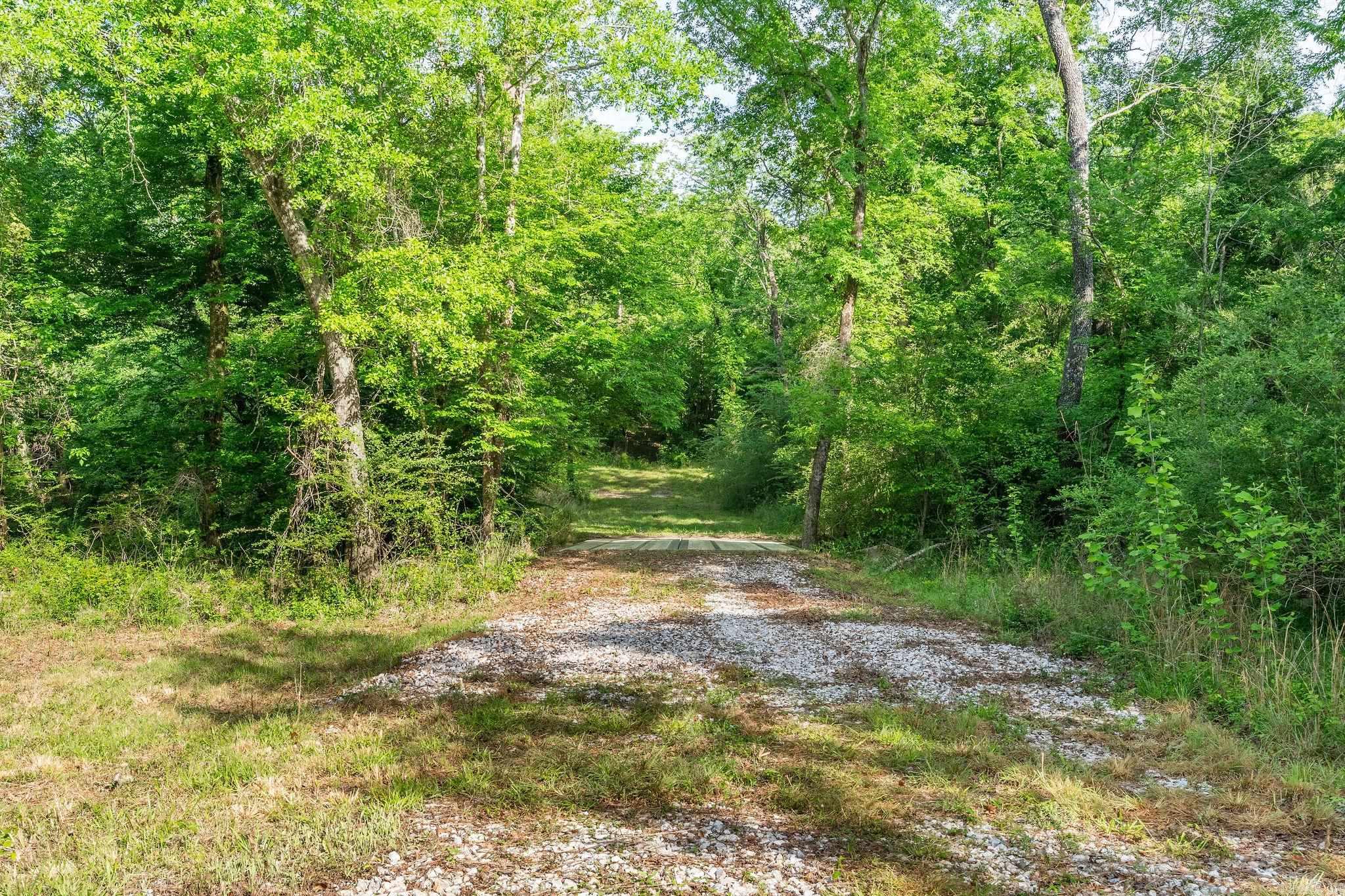 22.62 Acres Hwy 84 Property Photo 25
