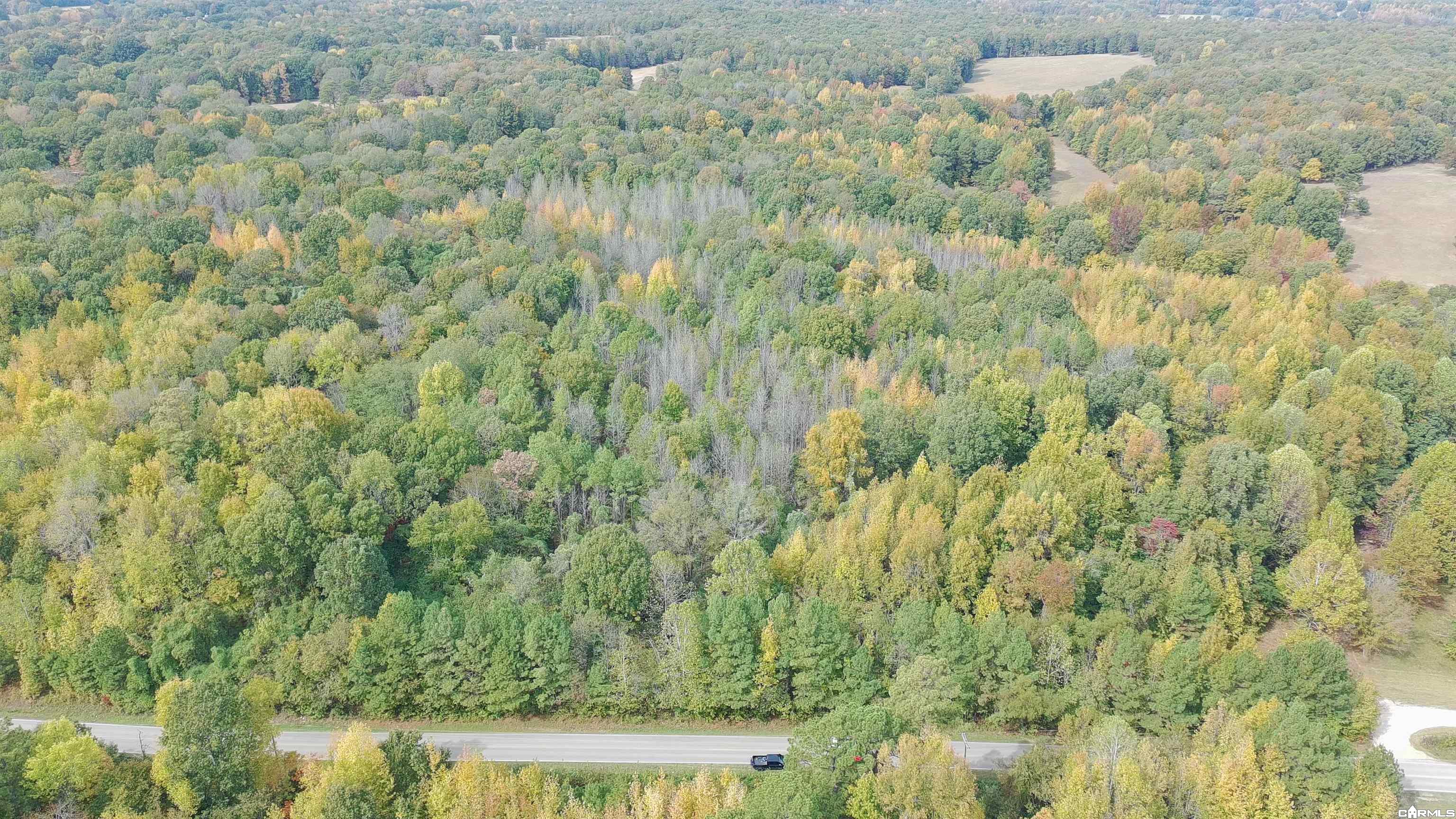 Tract 1 Greeene 628 Road 10.92 Ac Property Photo 3