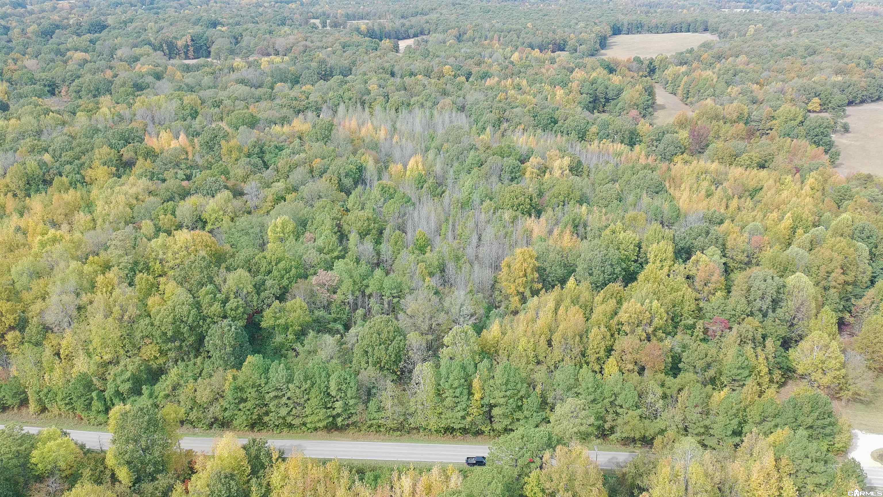 Tract 1 Greeene 628 Road 10.92 Ac Property Photo 4