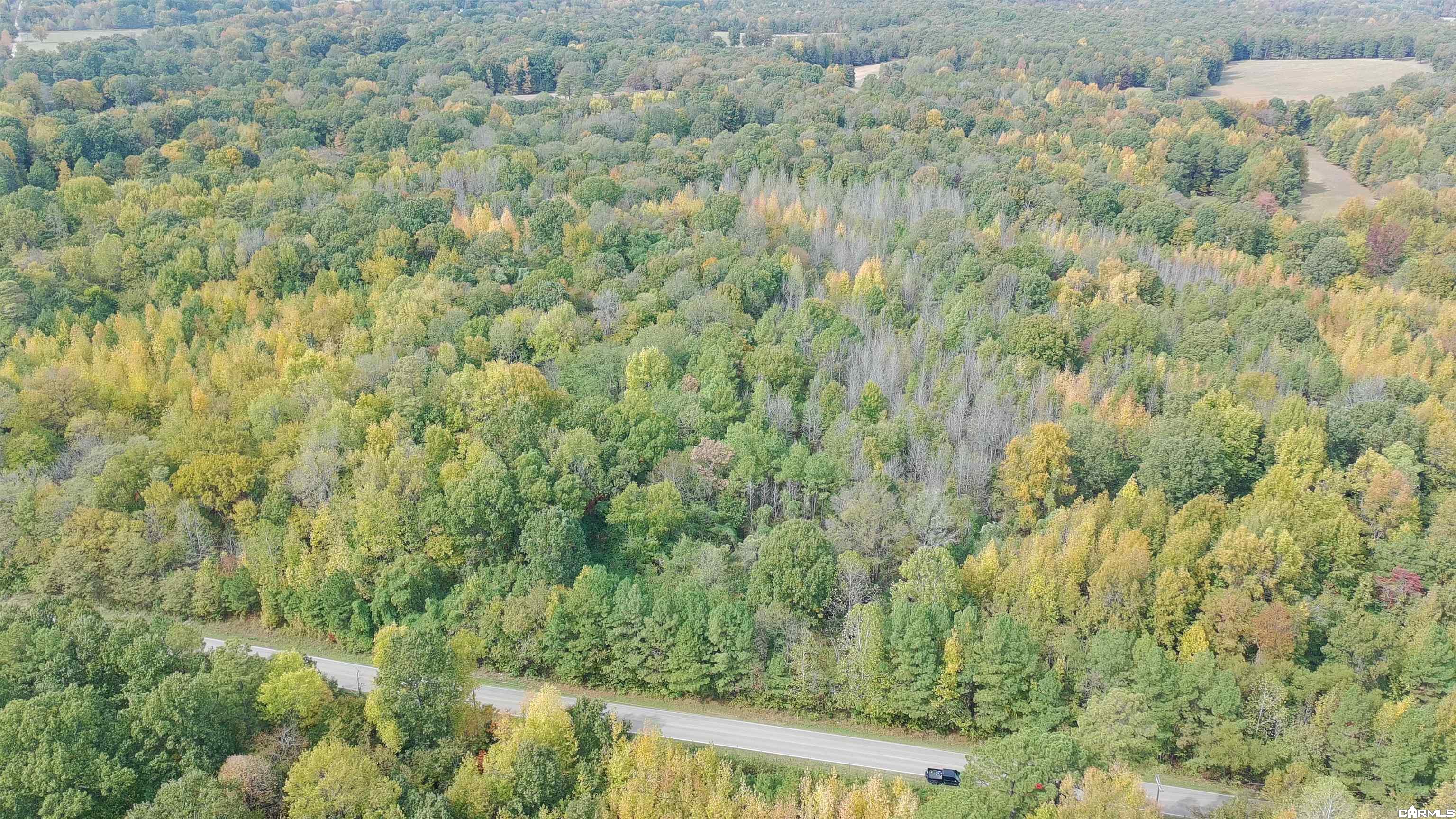 Tract 1 Greeene 628 Road 10.92 Ac Property Photo 5