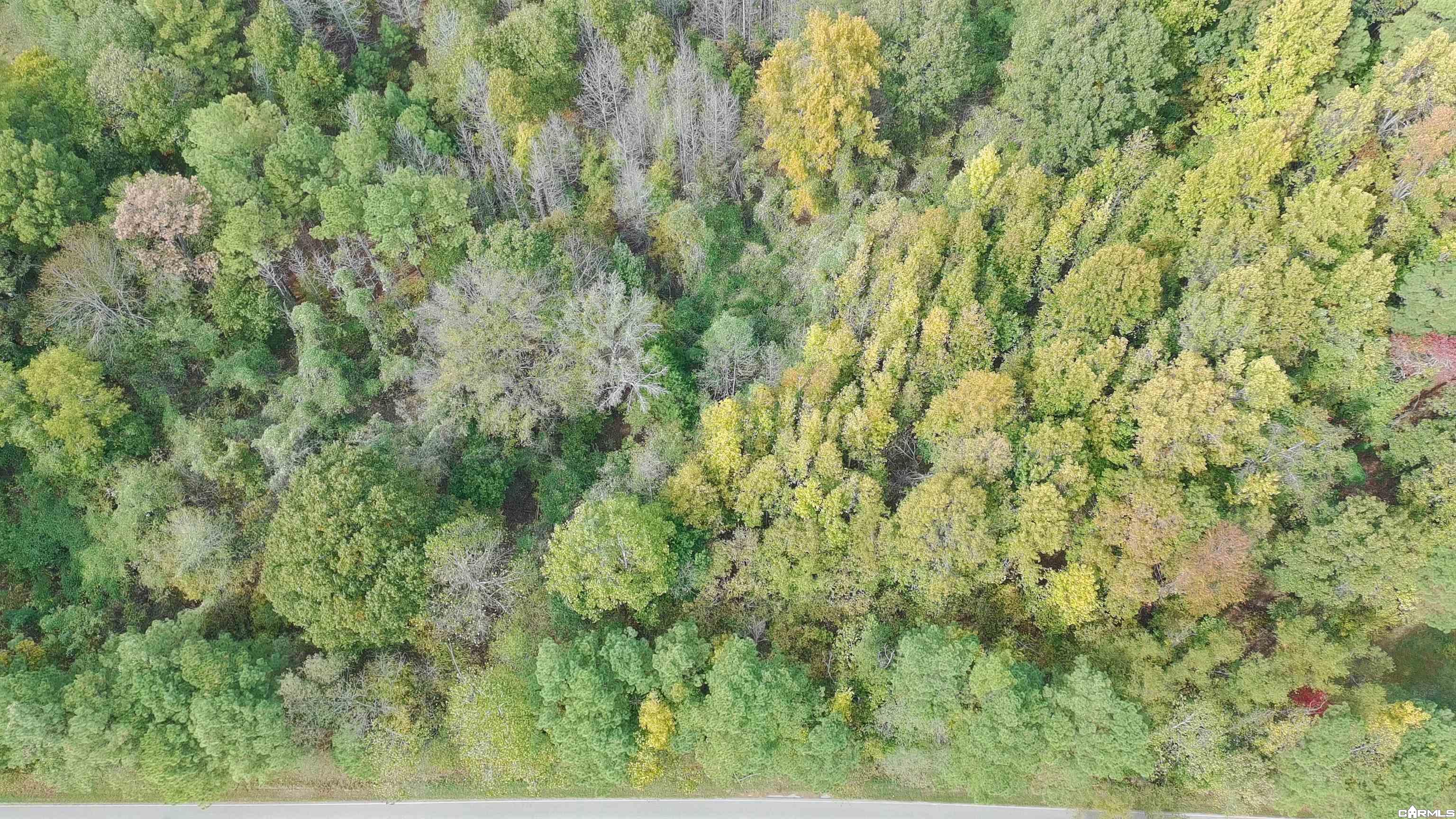 Tract 1 Greeene 628 Road 10.92 Ac Property Photo 6