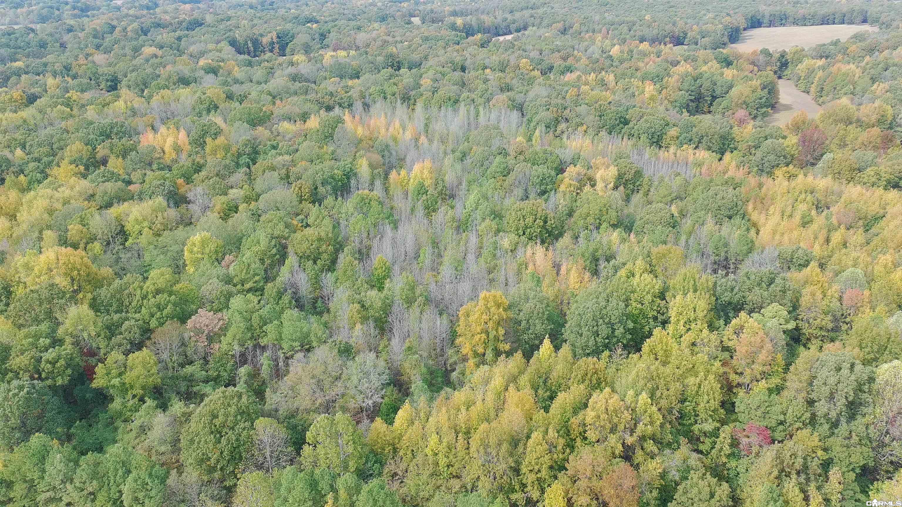 Tract 1 Greeene 628 Road 10.92 Ac Property Photo 7