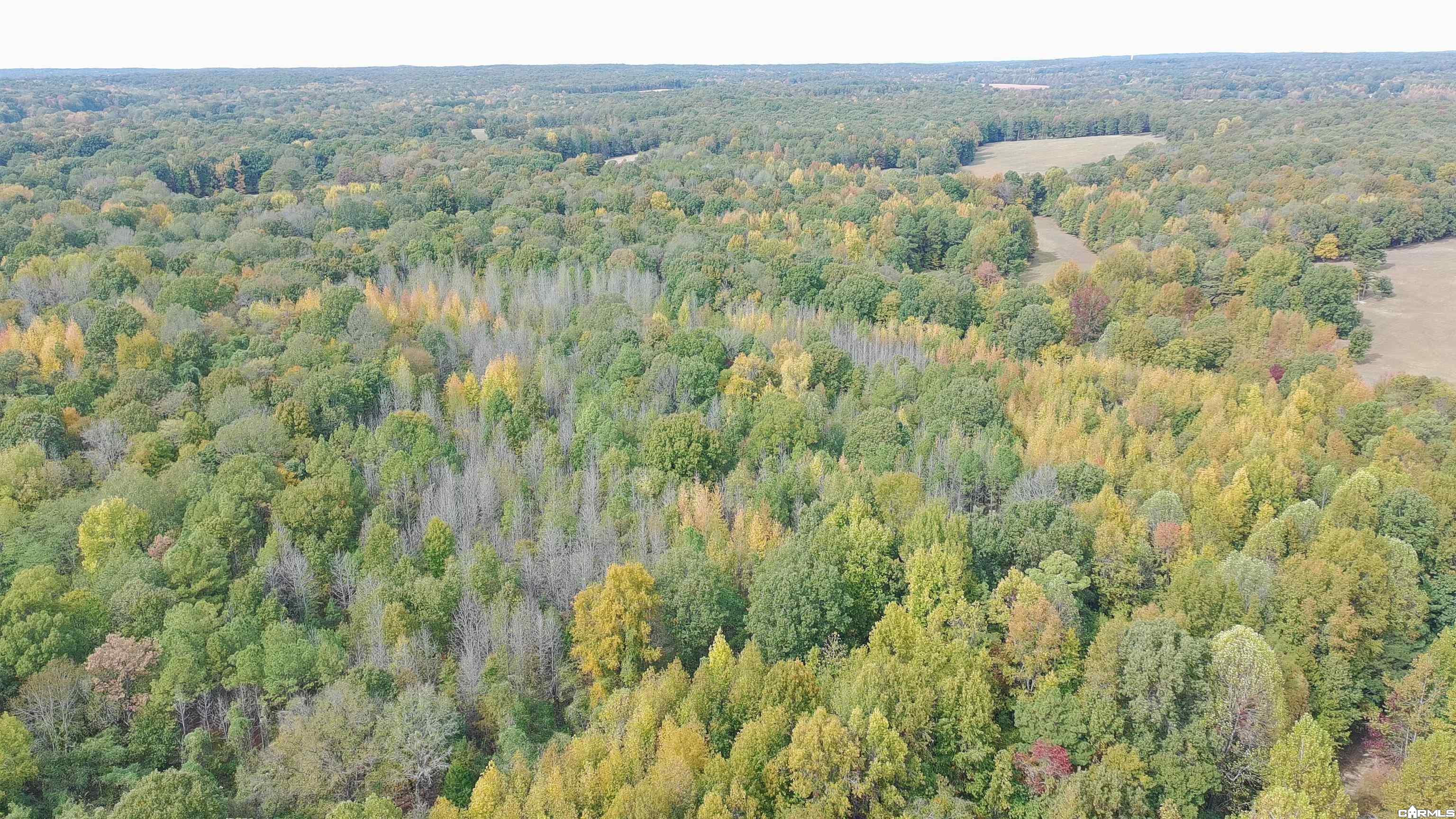 Tract 1 Greeene 628 Road 10.92 Ac Property Photo 9