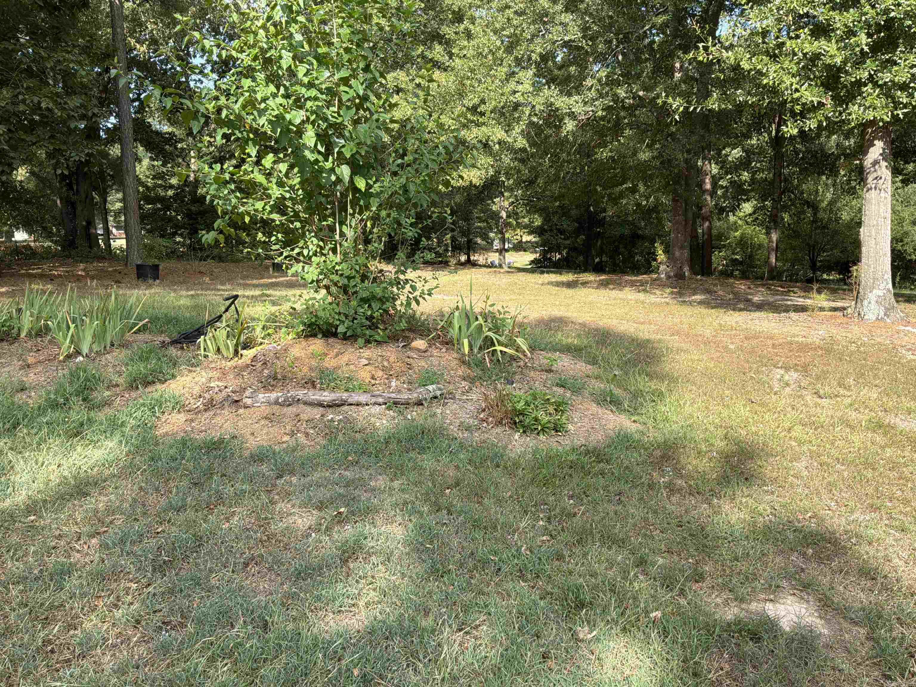 219 Hempstead 345 Property Photo 25