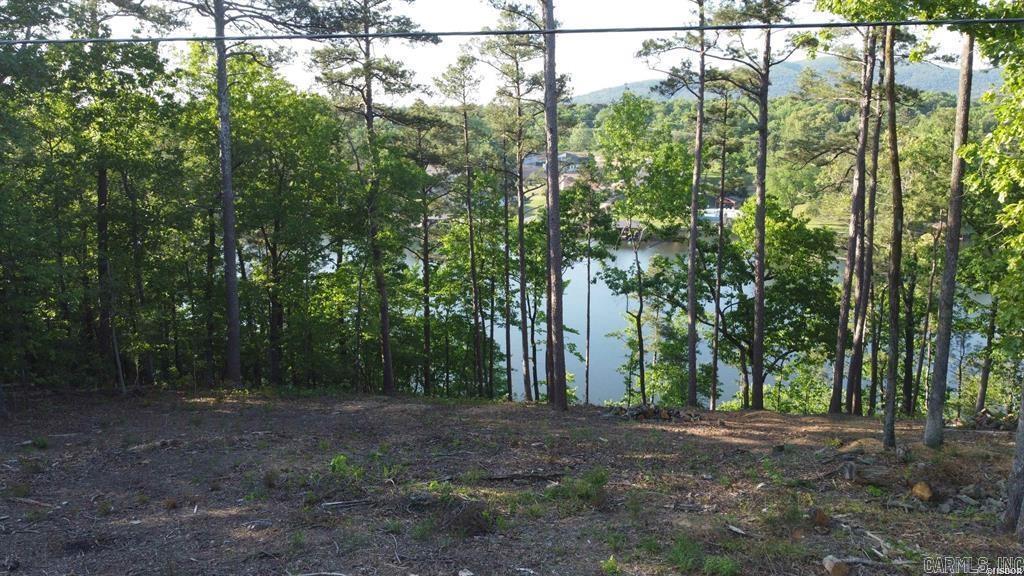 000 B Lakeshore Drive Property Photo 11