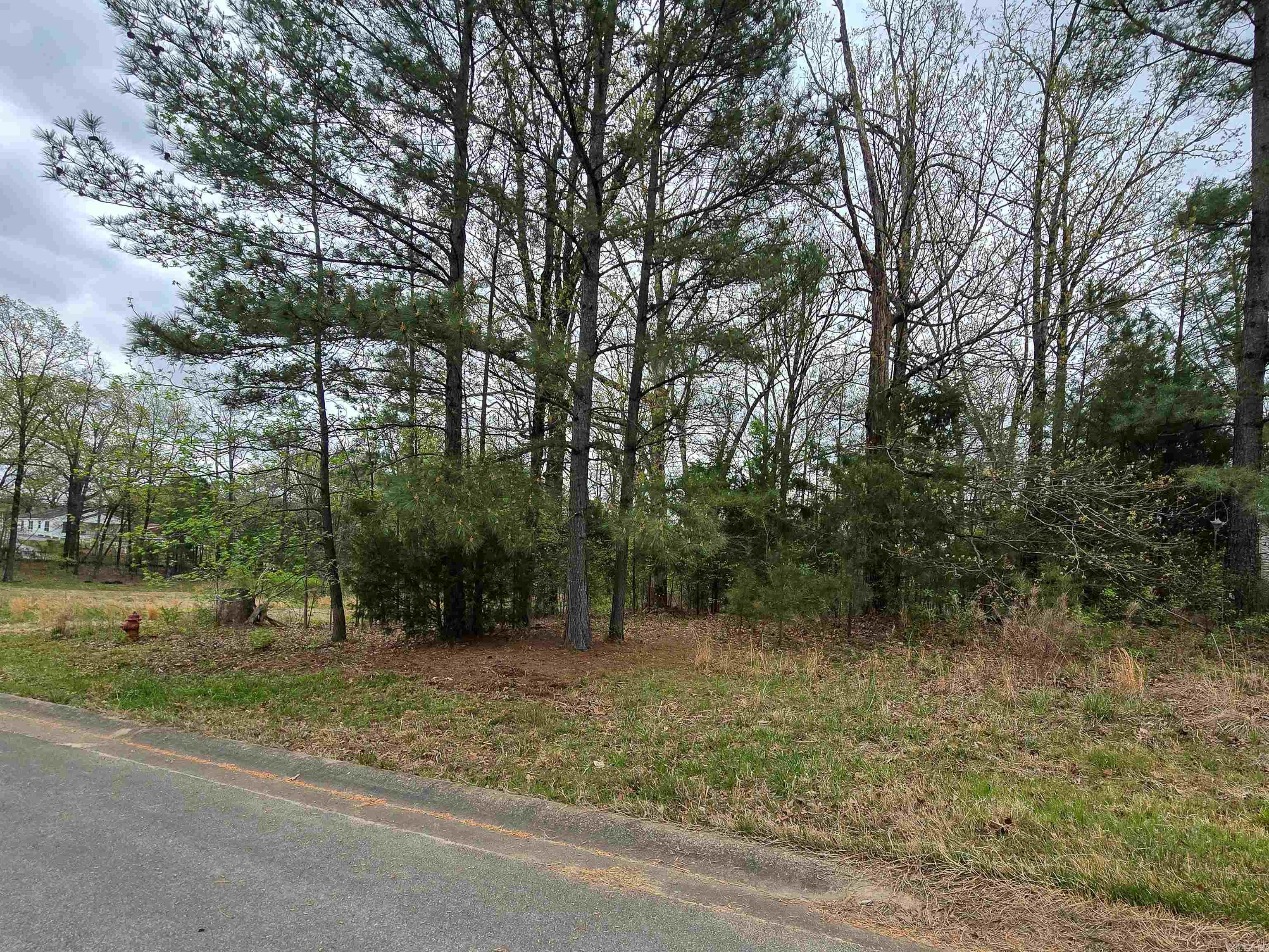 Lot 3 Blck B Alex Dr Drive Property Photo 3