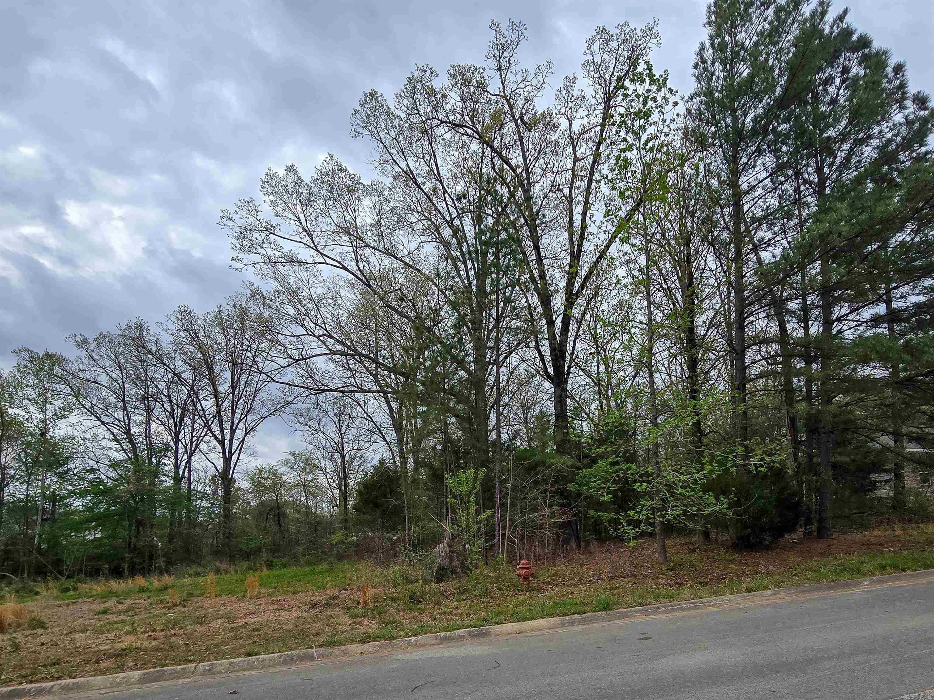 Lot 3 Blck B Alex Dr Drive Property Photo 5