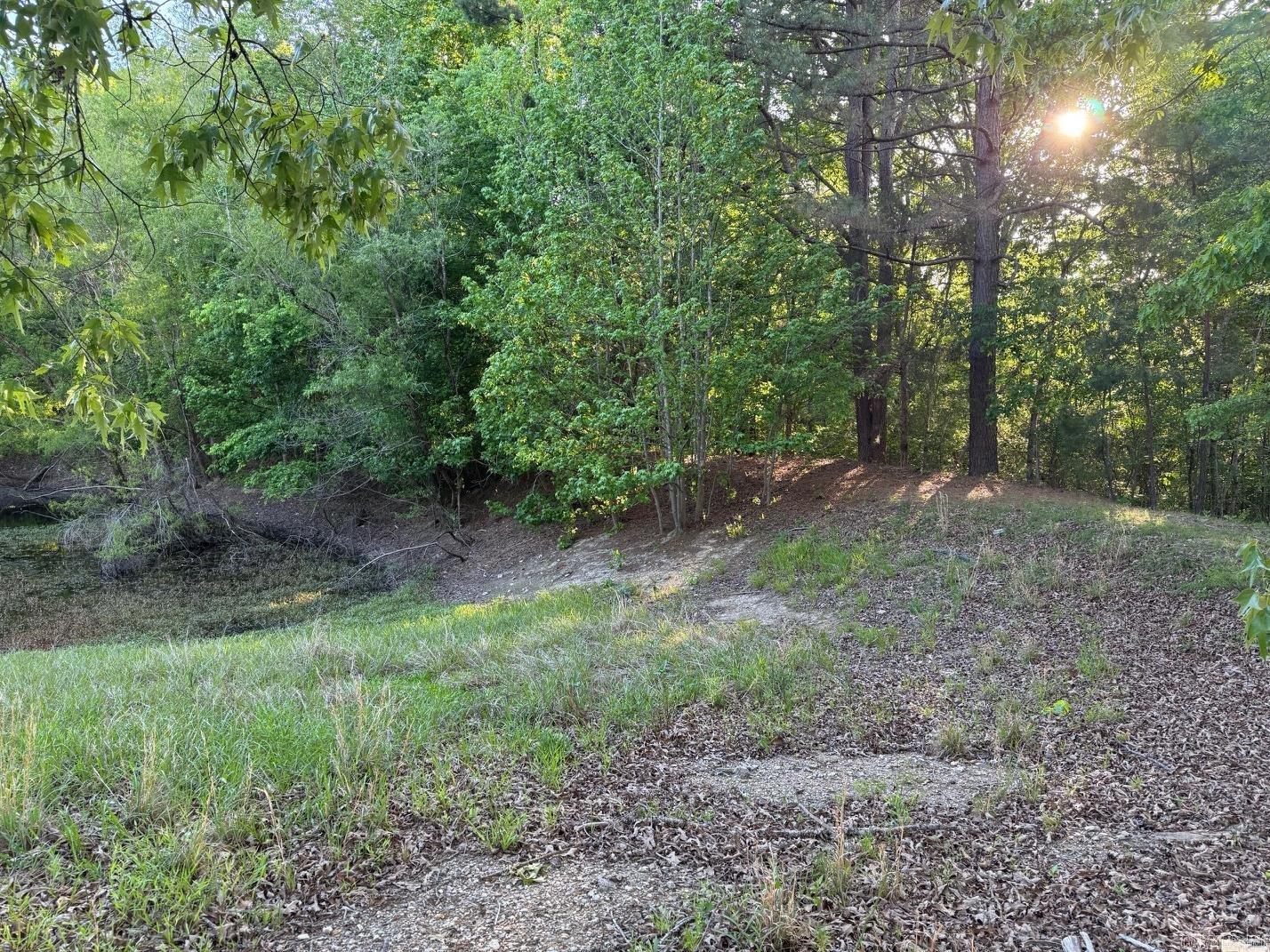4821 Alf Lane Property Photo 7