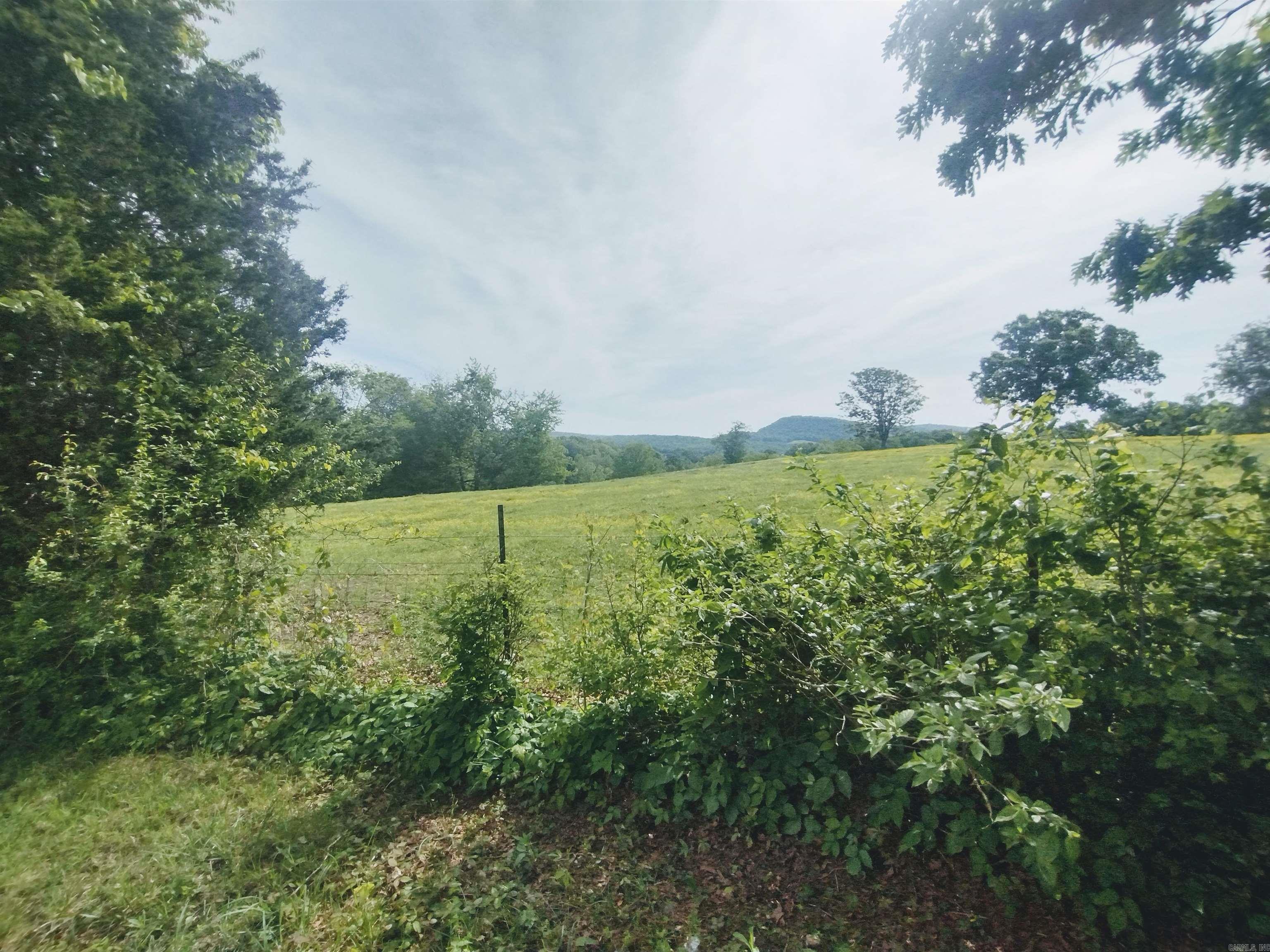 10633 Hwy 66 Property Photo 12