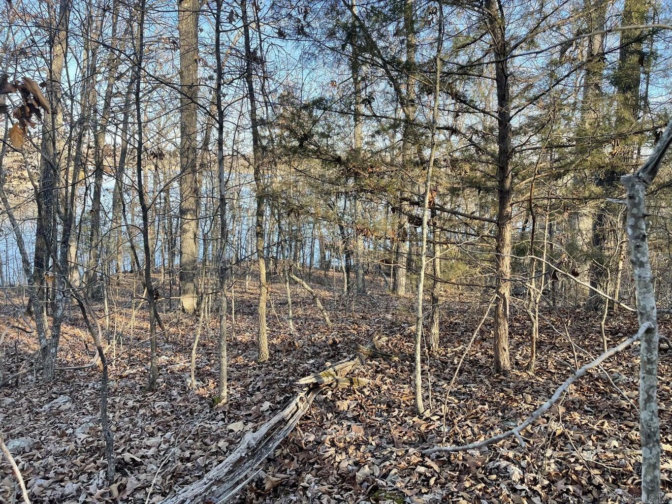 00 Chesapeake Drive Property Photo 7