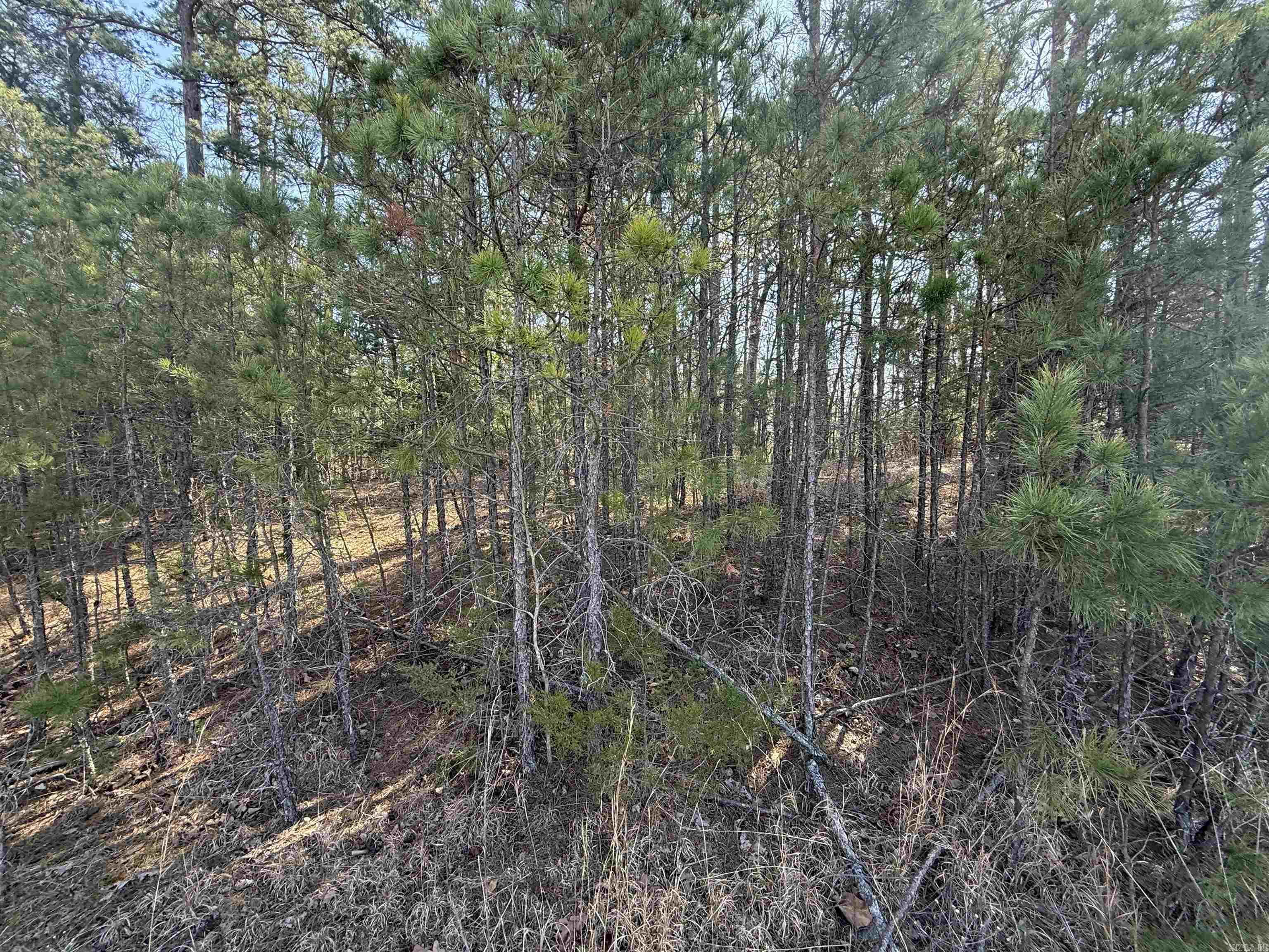 105 Acres Deer Road Property Photo 10