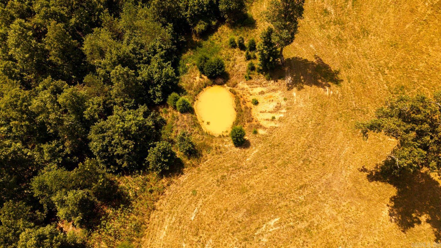 Tbd County Road 443 Property Photo 3
