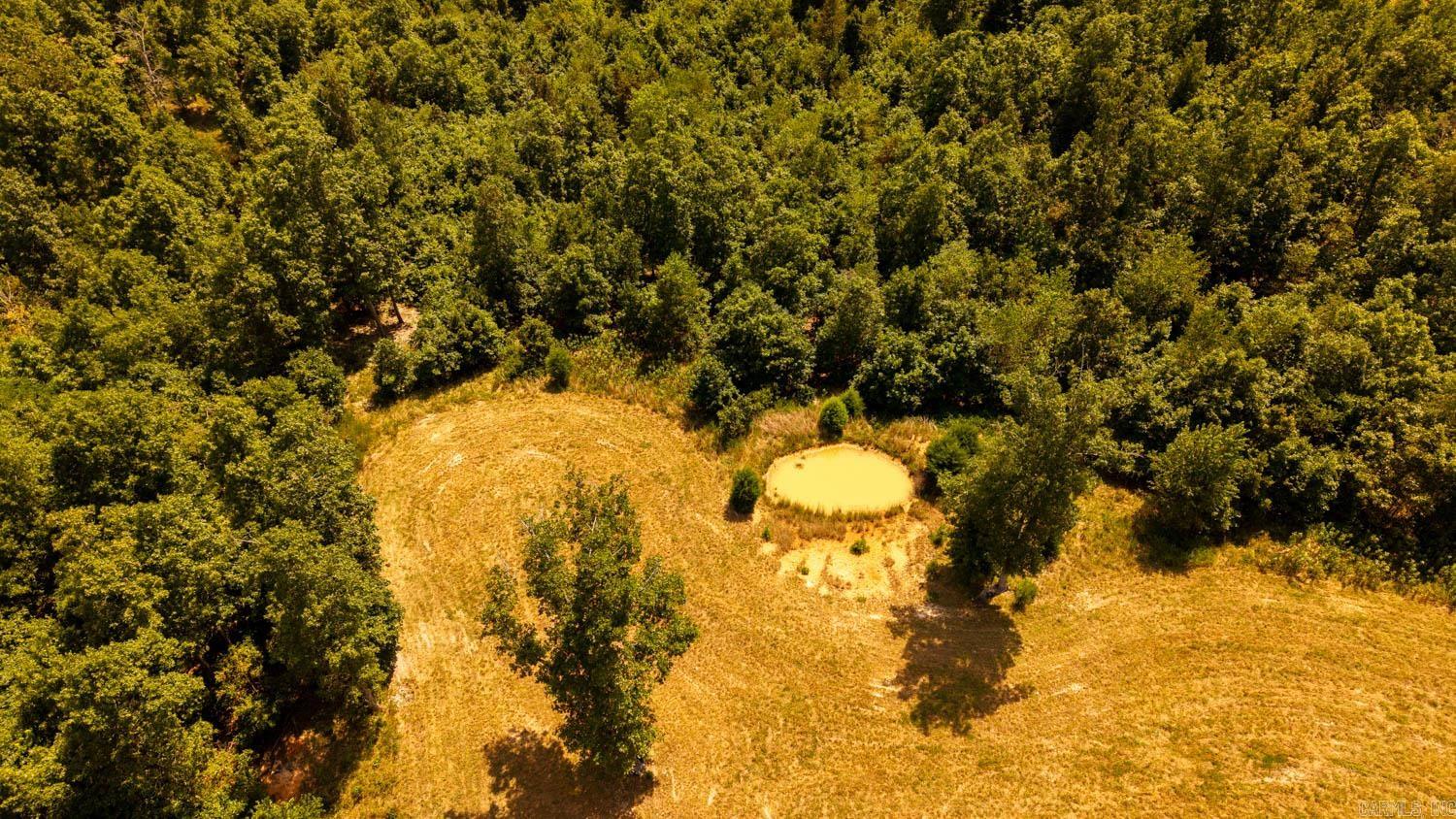 Tbd County Road 443 Property Photo 4