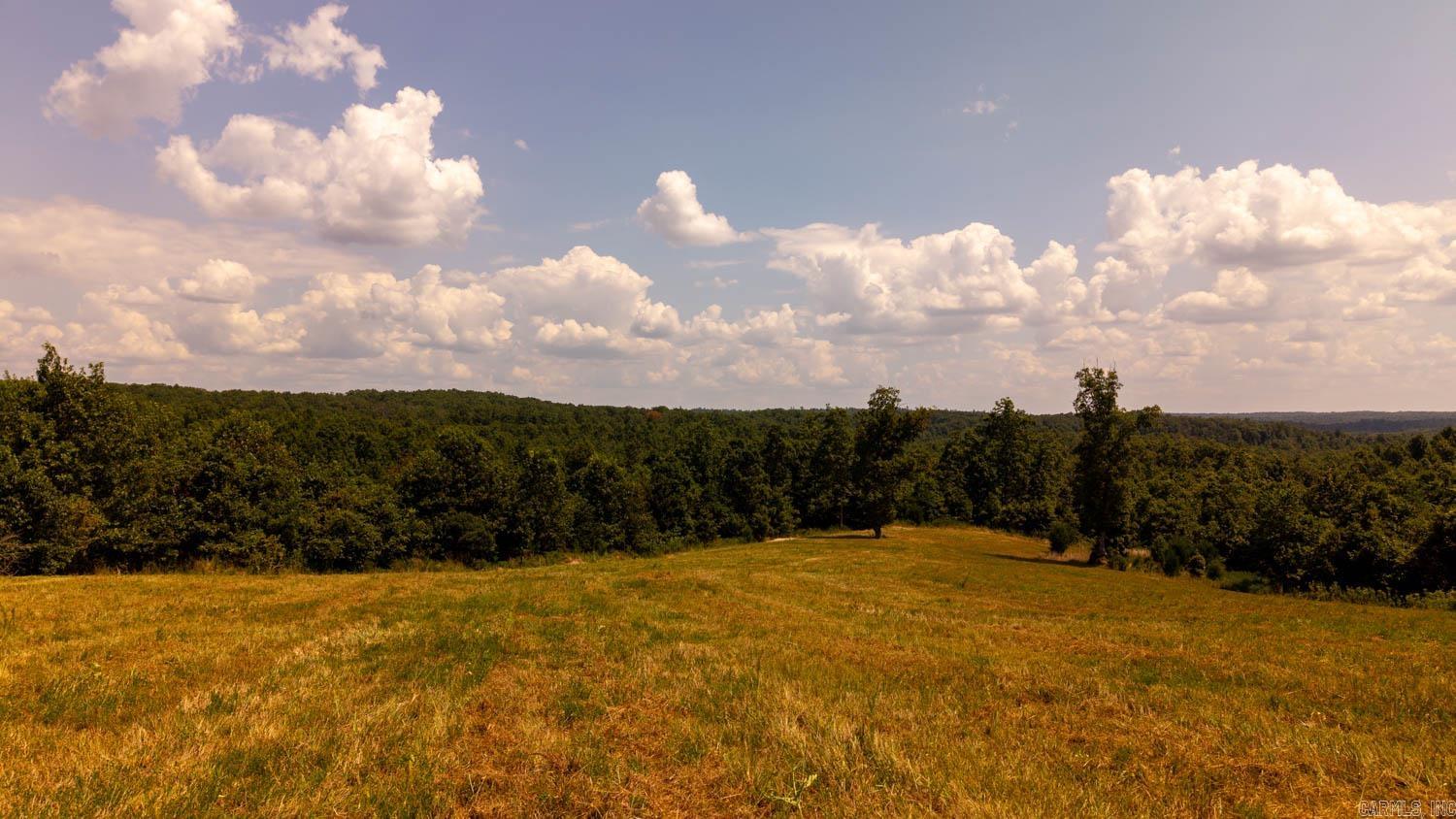 Tbd County Road 443 Property Photo 5
