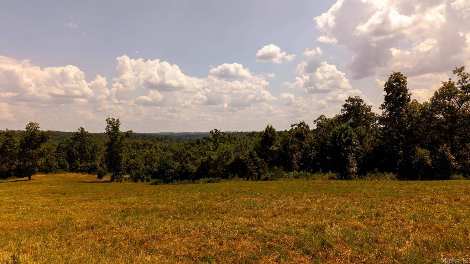 Tbd County Road 443 Property Photo 6