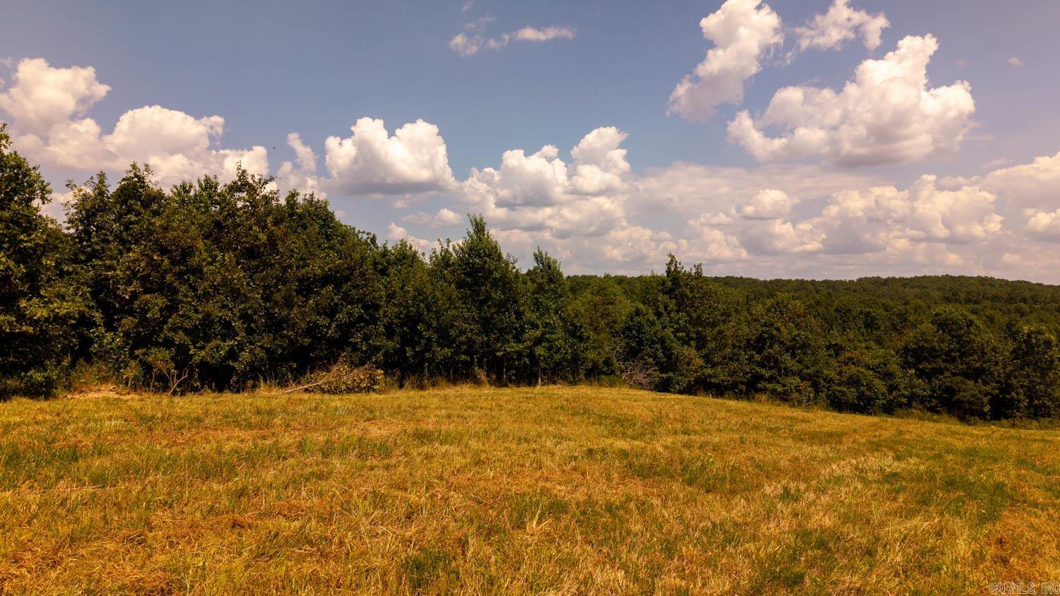 Tbd County Road 443 Property Photo 7