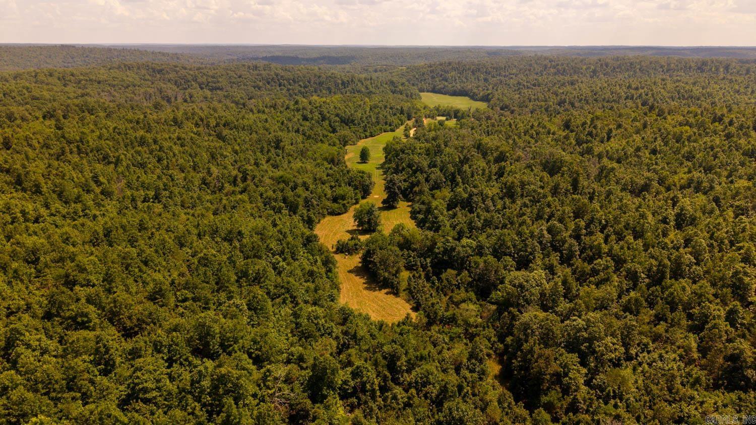 Tbd County Road 443 Property Photo 8