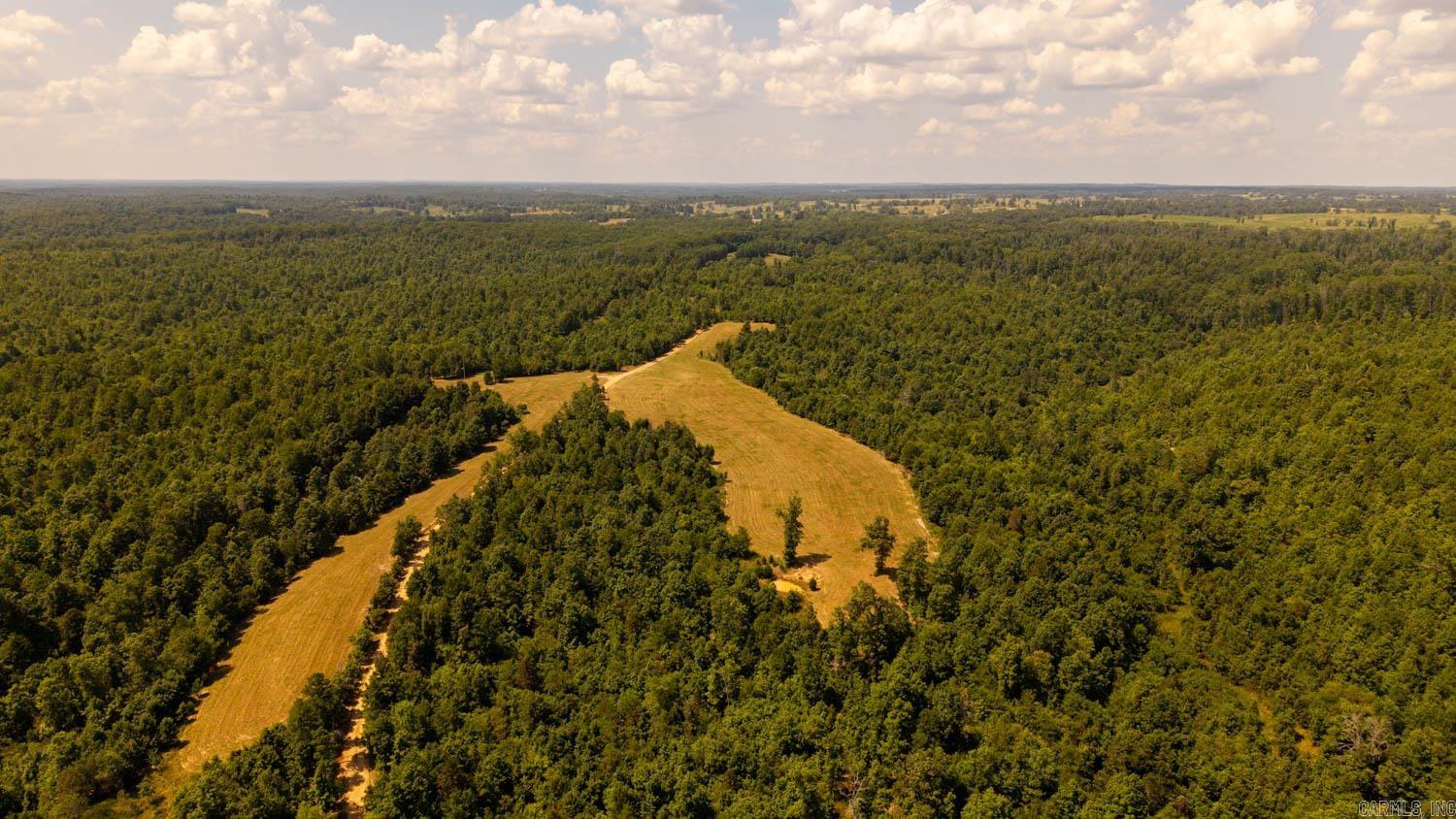 Tbd County Road 443 Property Photo 11