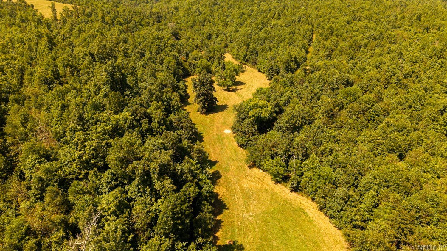 Tbd County Road 443 Property Photo 16