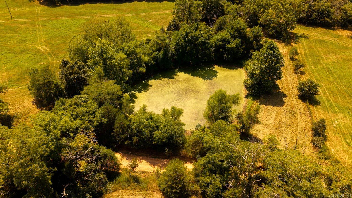 Tbd County Road 443 Property Photo 18