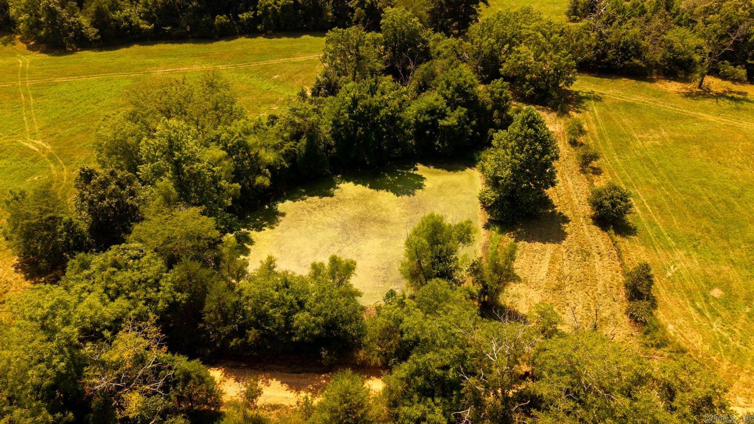 Tbd County Road 443 Property Photo 19