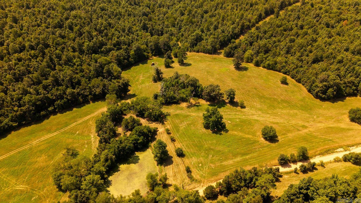 Tbd County Road 443 Property Photo 20