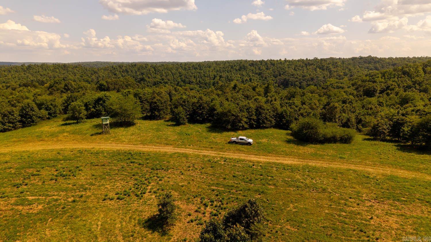 Tbd County Road 443 Property Photo 40