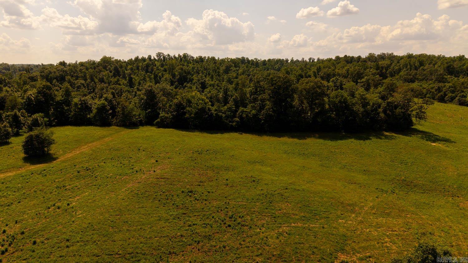 Tbd County Road 443 Property Photo 41